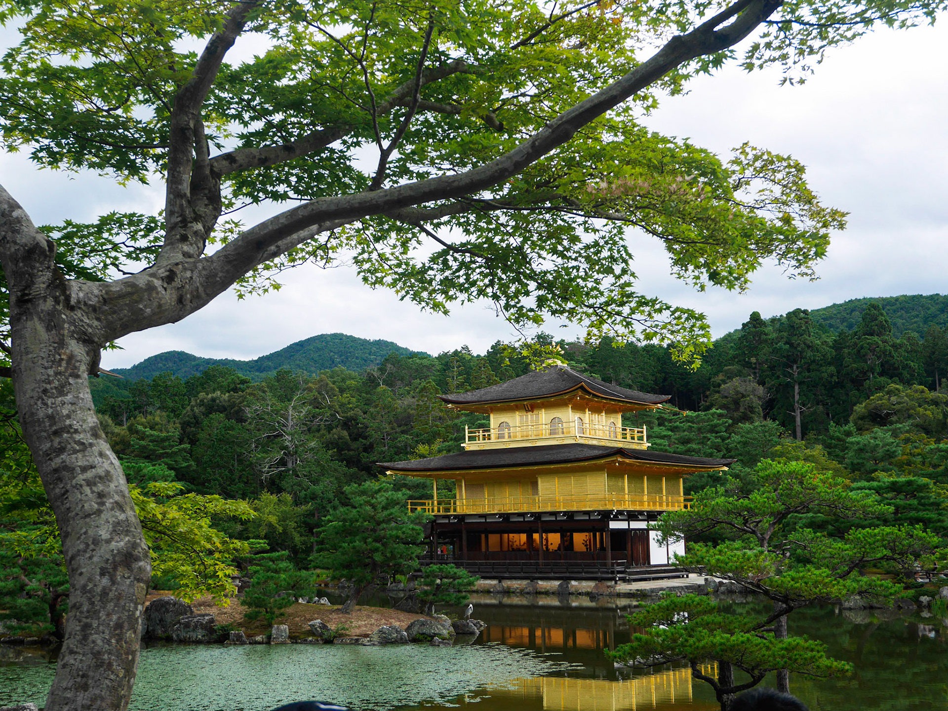 Kinkaku-ji, Kyoto