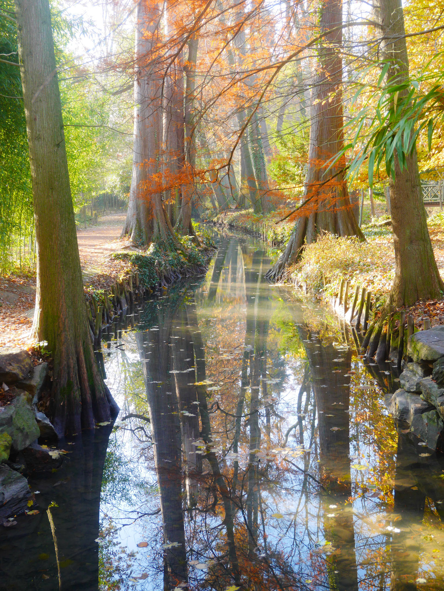 📍 Parc de la Tête d'Or, Lyon