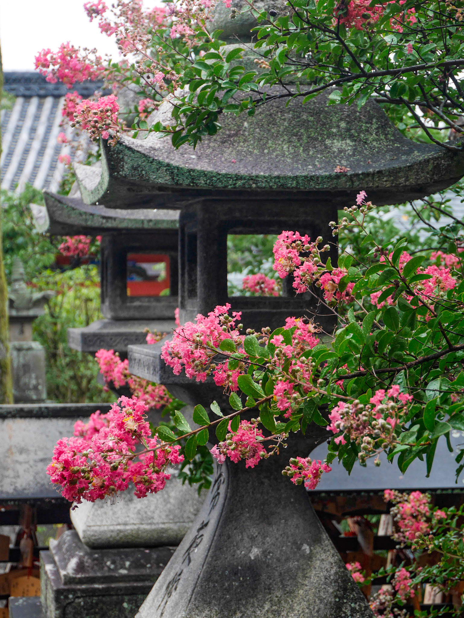 Kiyomizu-dera, Kyoto