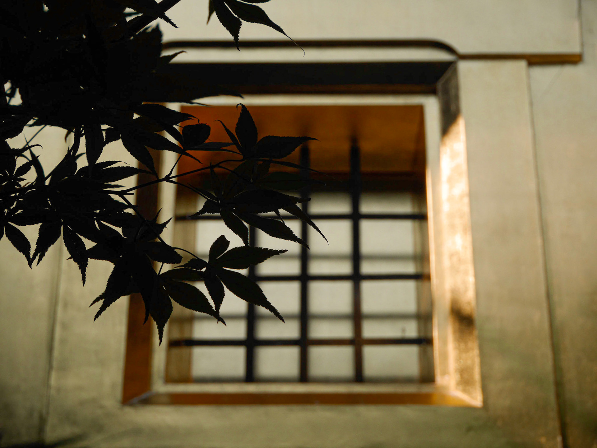 Hakuza Hikari Kura, Kanazawa