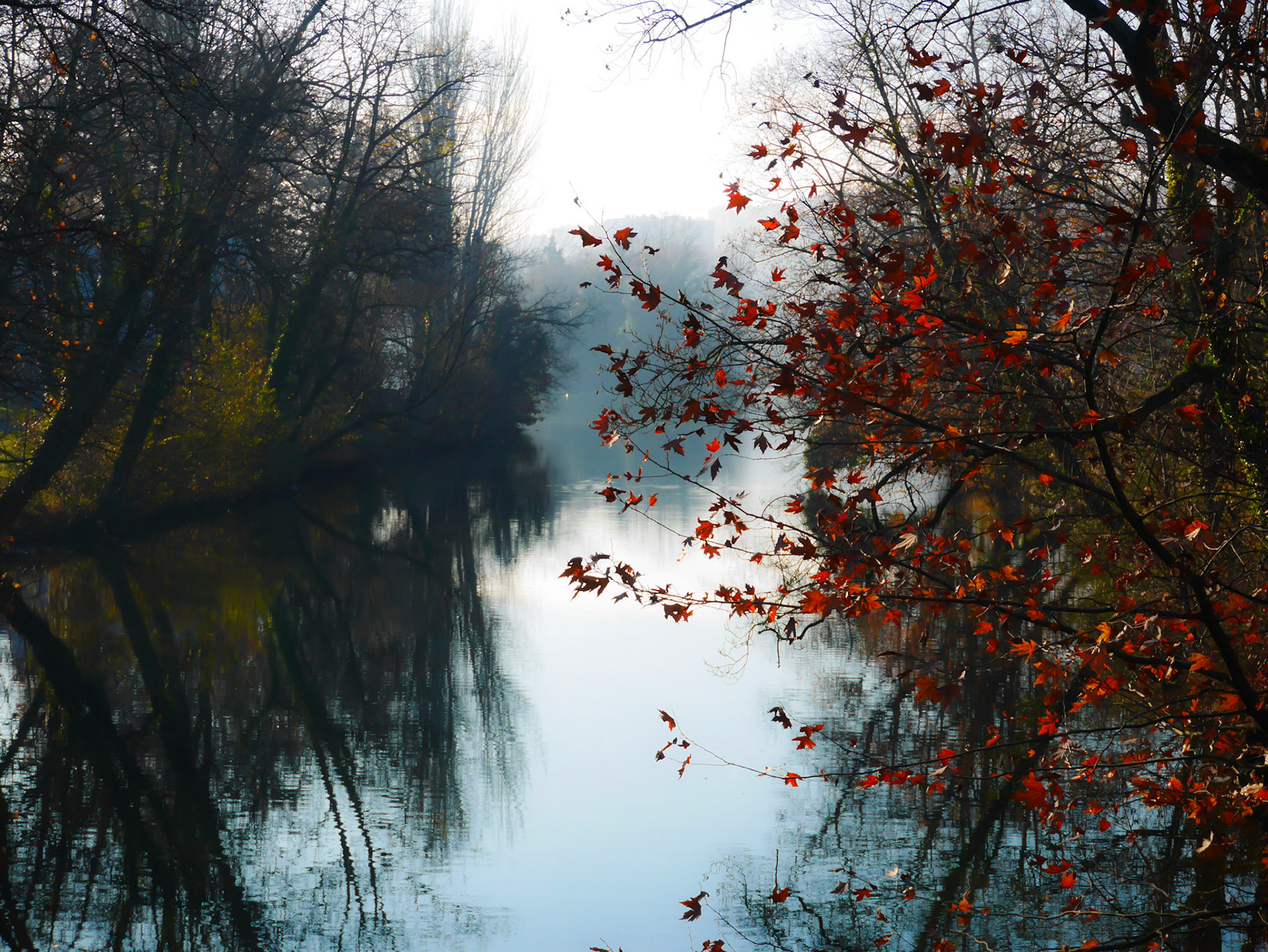 📍 Parc de la Tête d'Or, Lyon