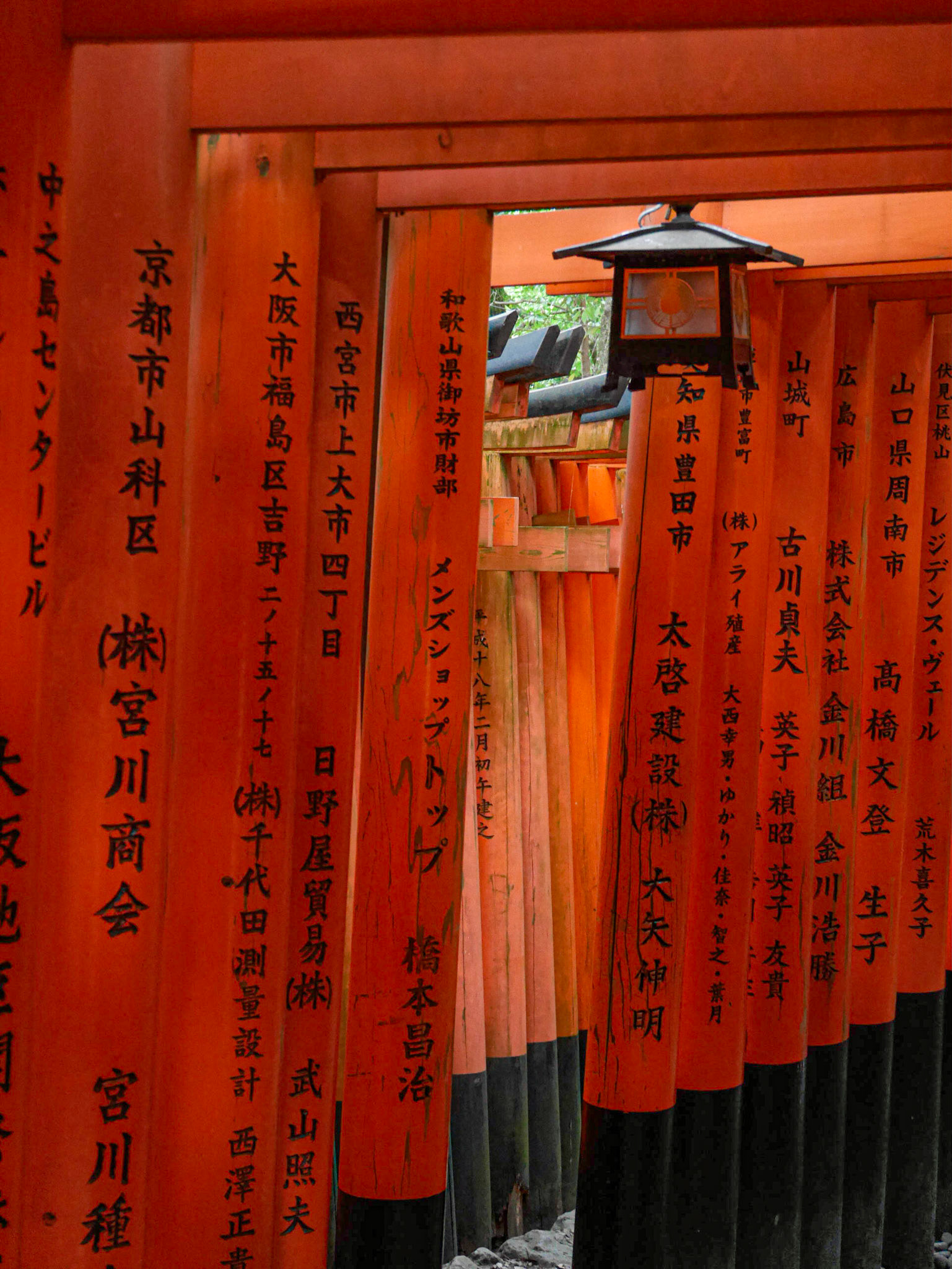 Fushimi Inari-taisha, Kyoto