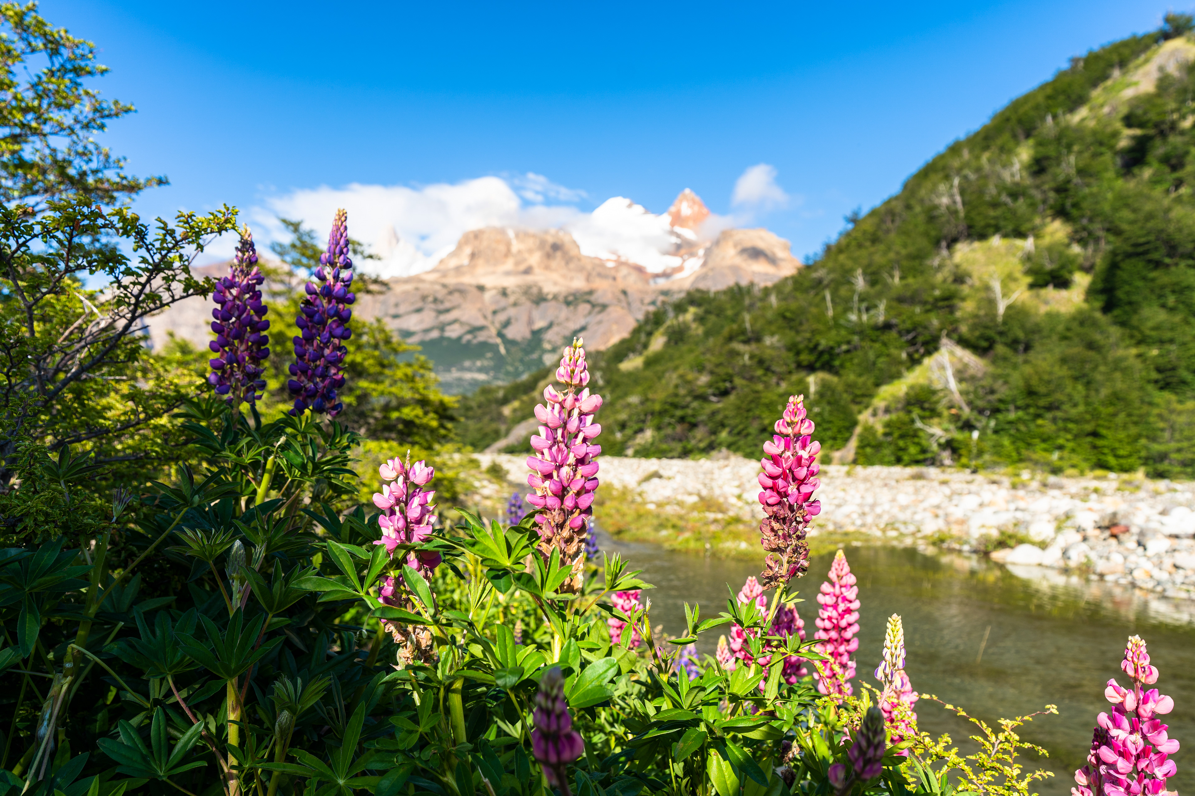 Laguna de los Tres