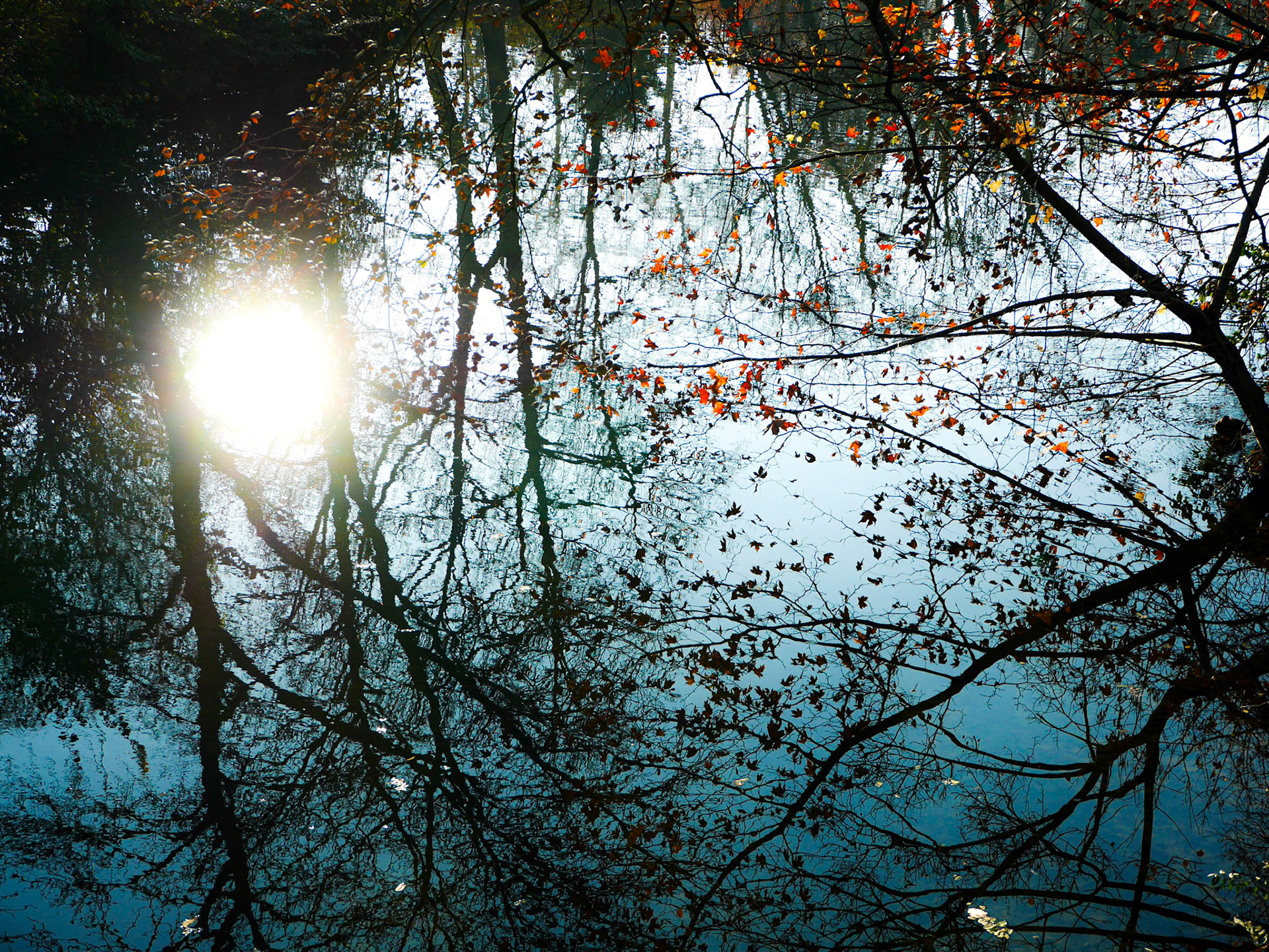 📍 Parc de la Tête d'Or, Lyon