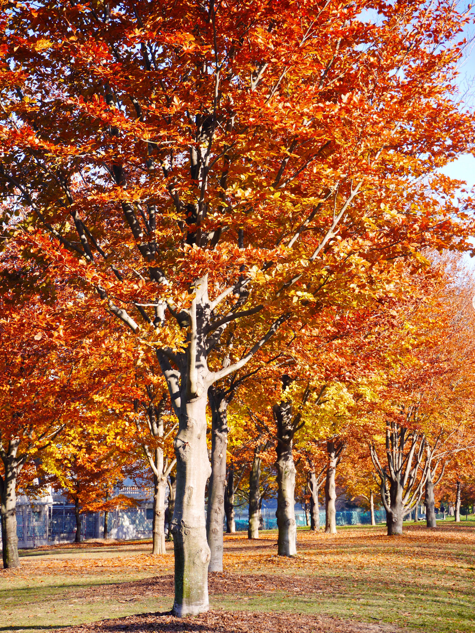 📍 Parc de la Tête d'Or, Lyon