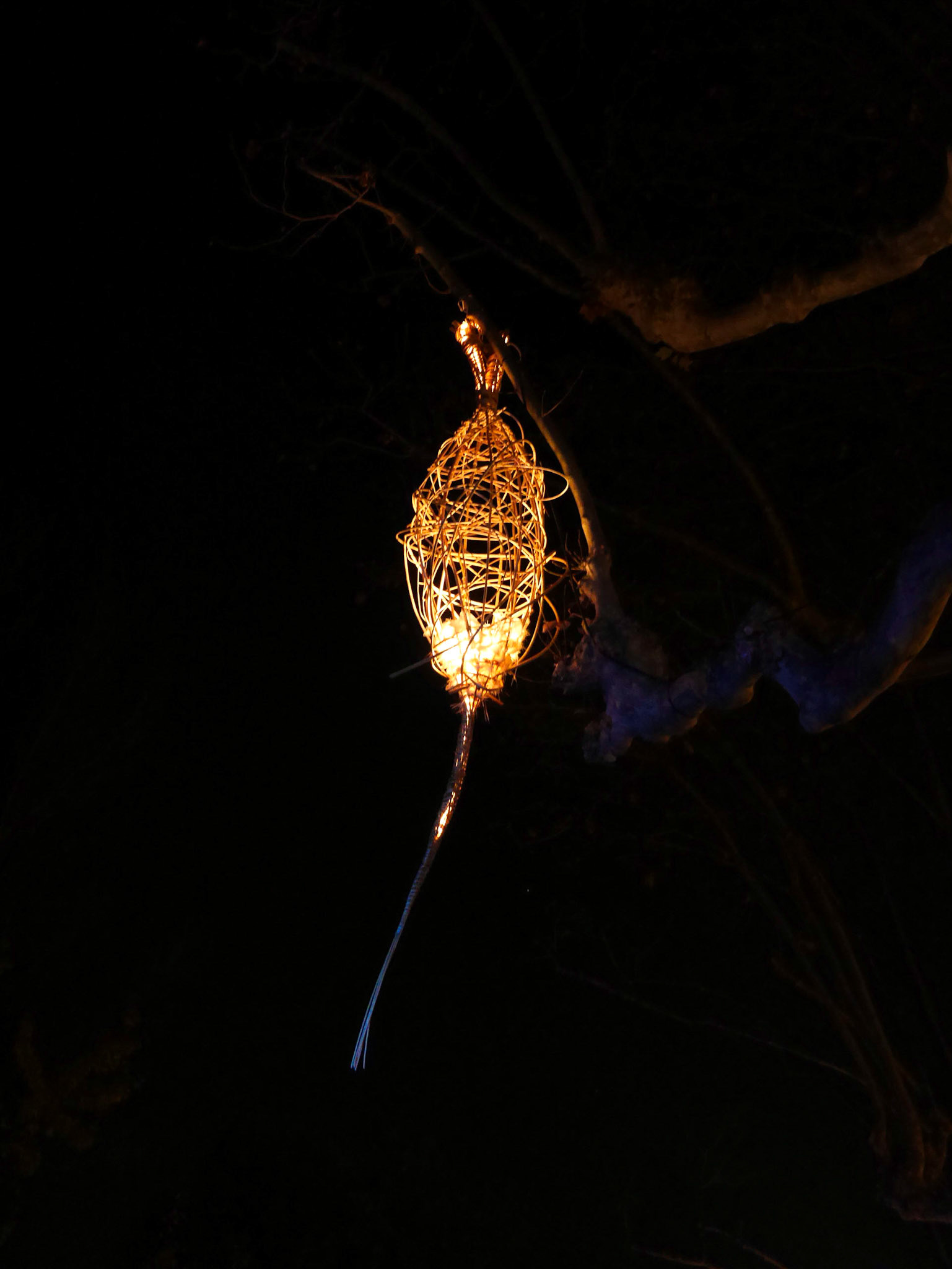 📍 Lyon - Fête des Lumières