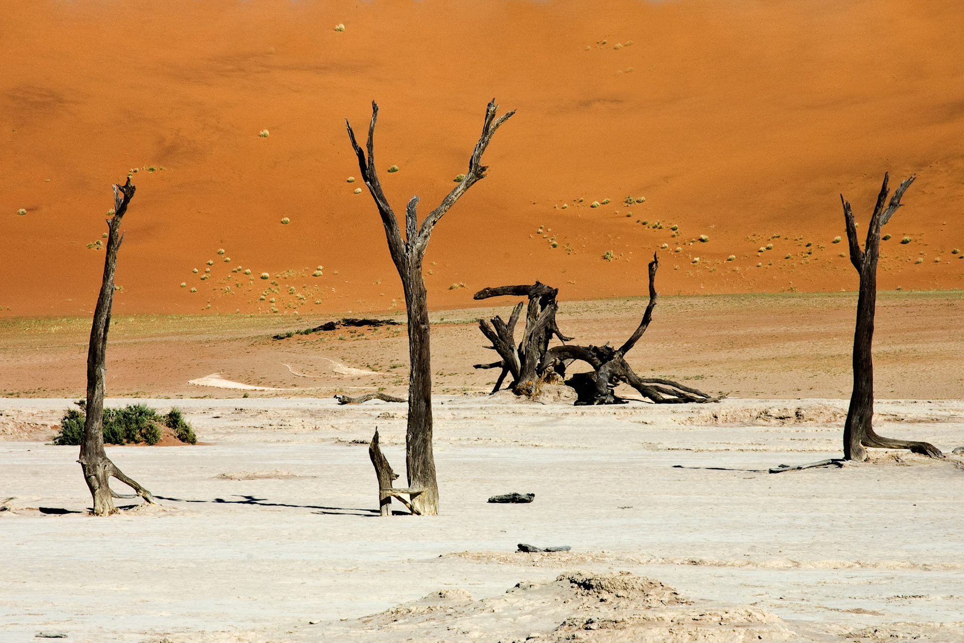 Deadvlei - Namibia