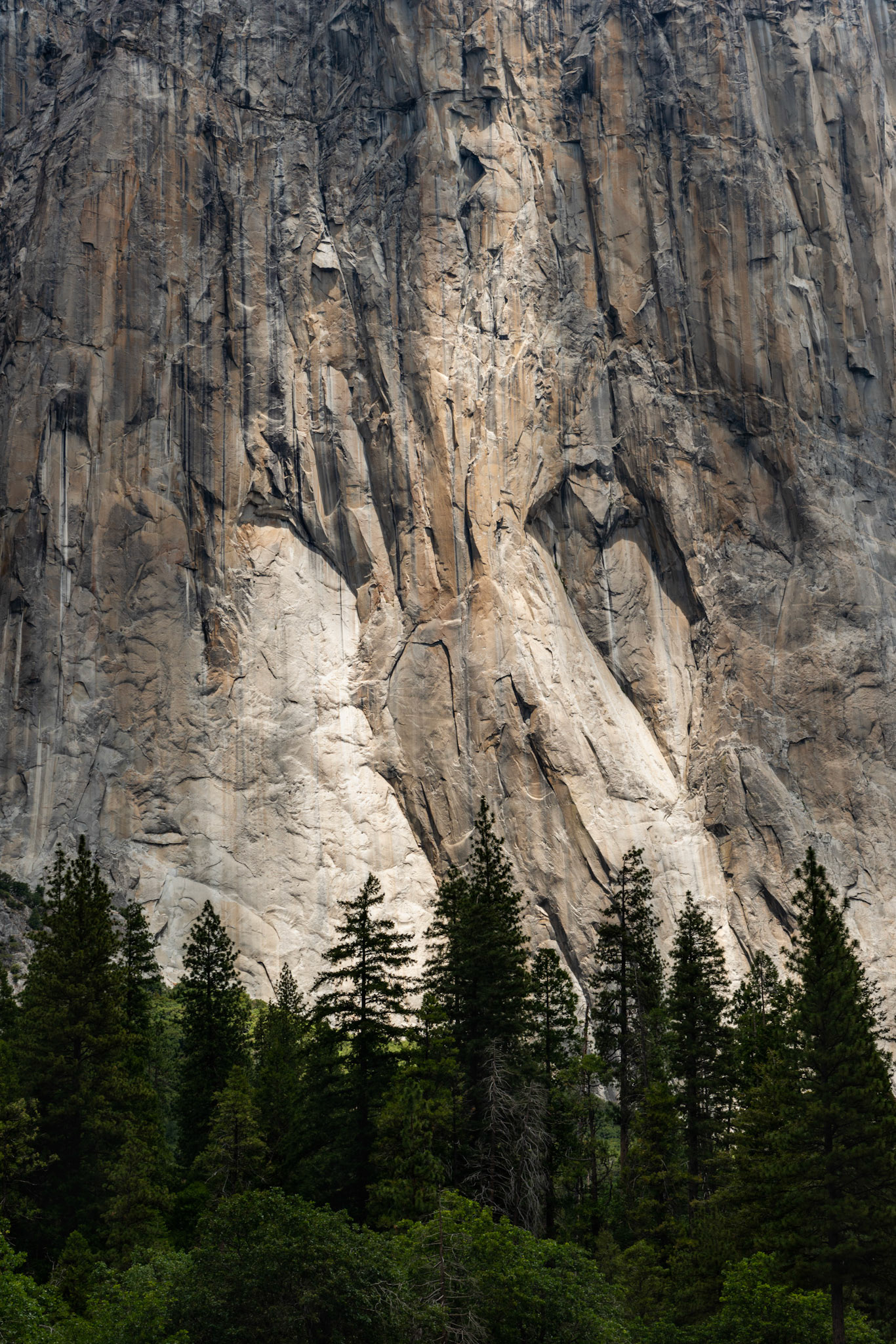 Yosemite NP - CA