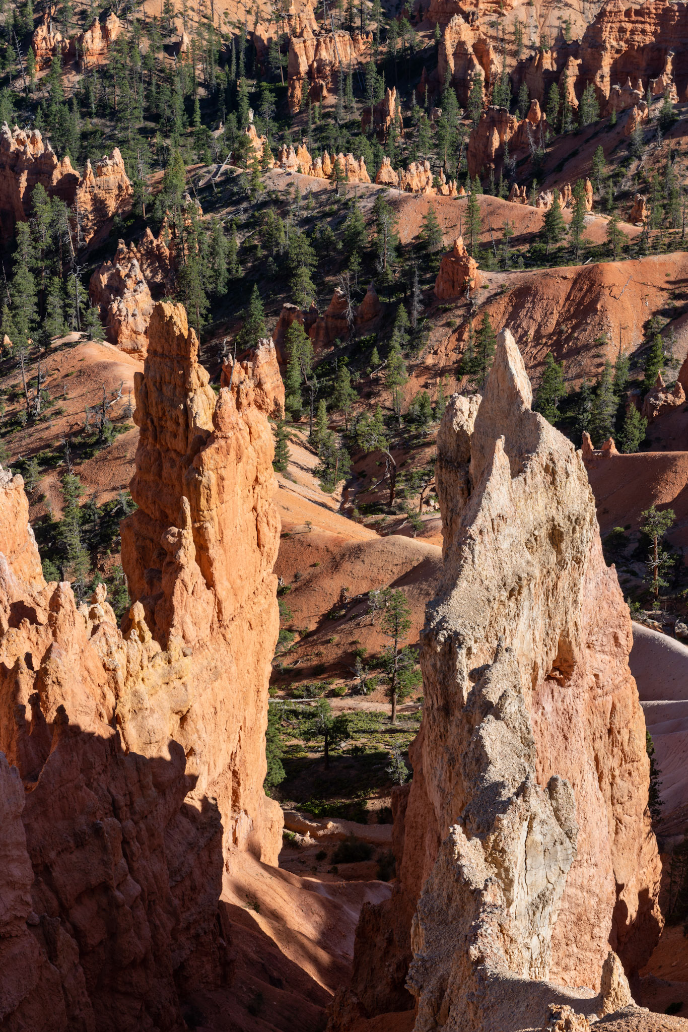 Bryce Canyon NP - UT