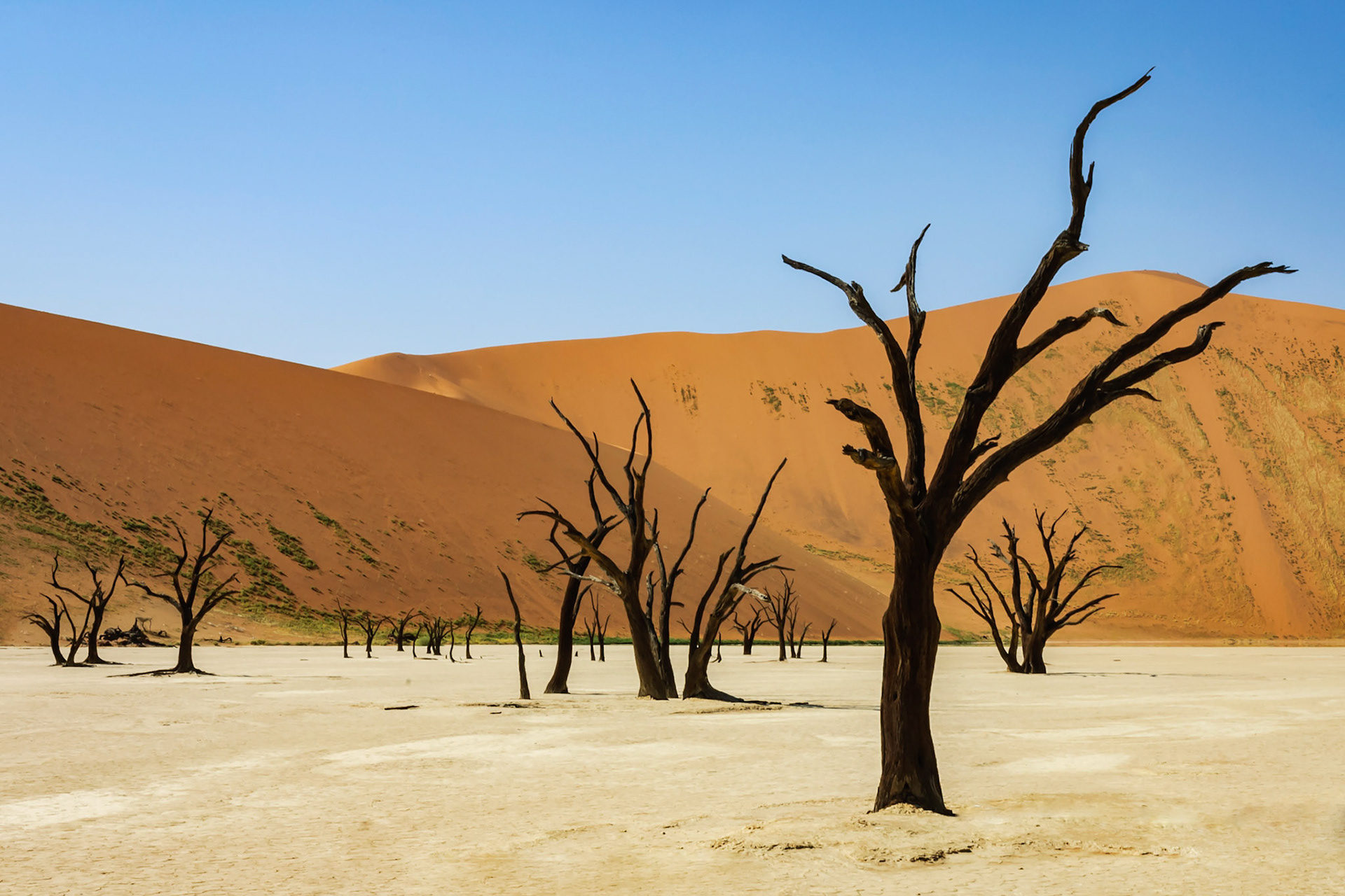 Deadvlei - Namibia