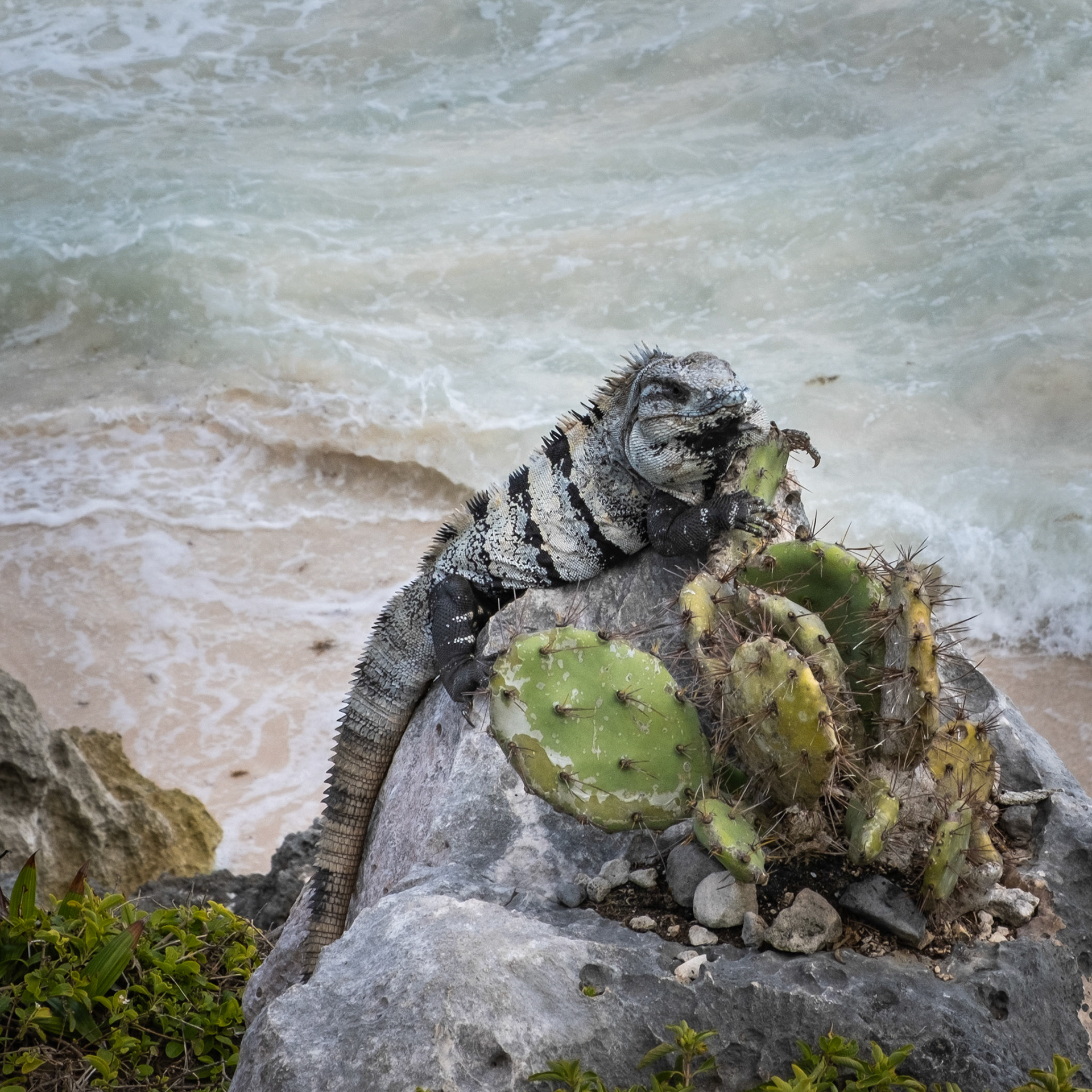 Tulum