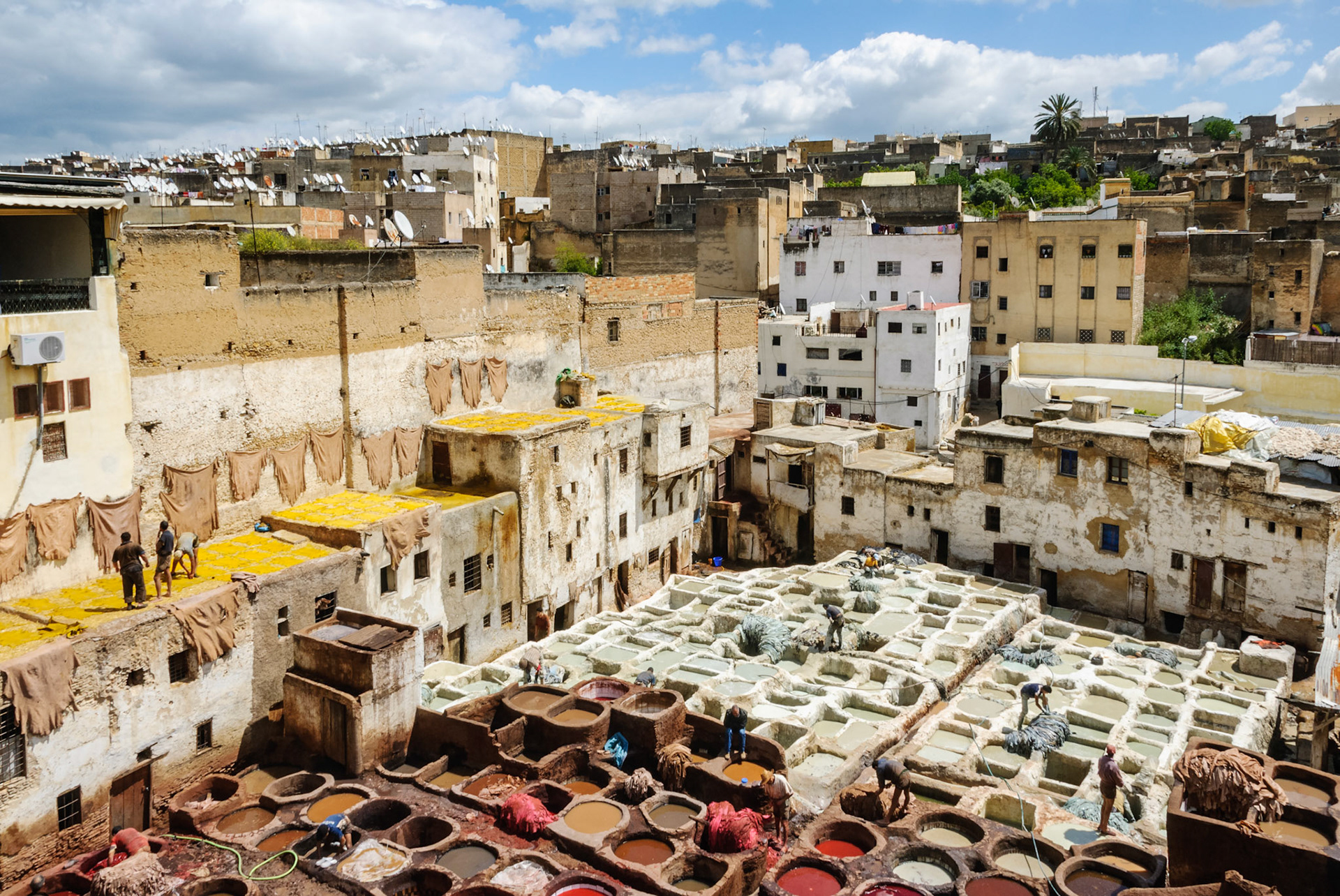 Fez
