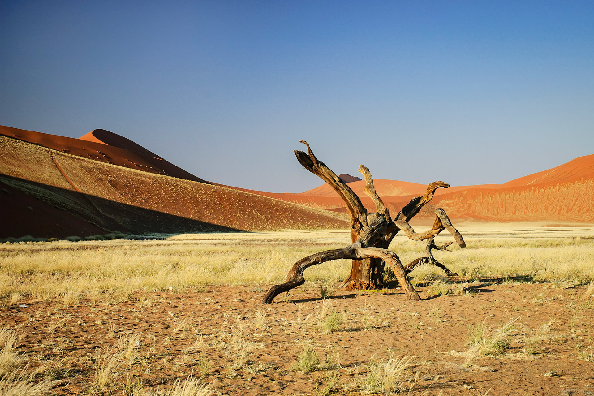 Sossusvlei - Namibia