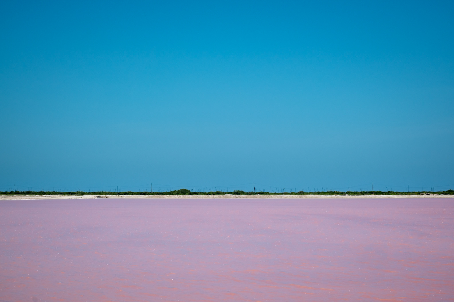 Las Coloradas