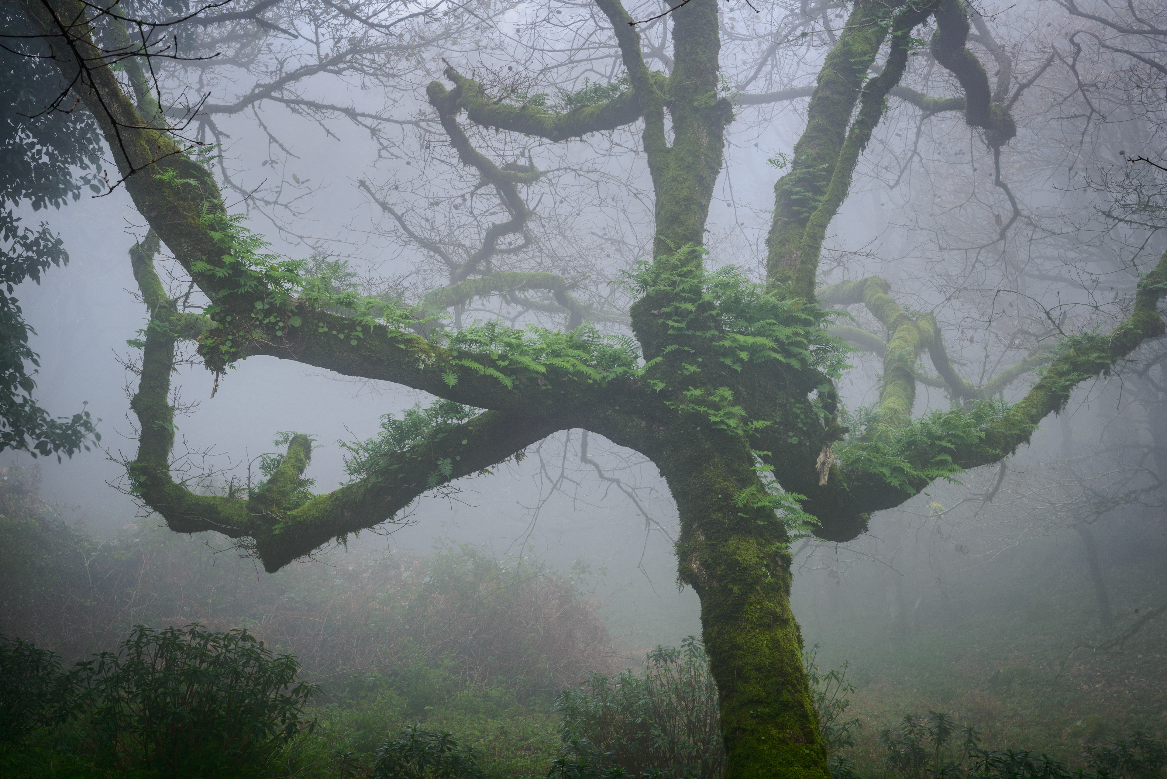 Sierra de Grazalema - Cádiz