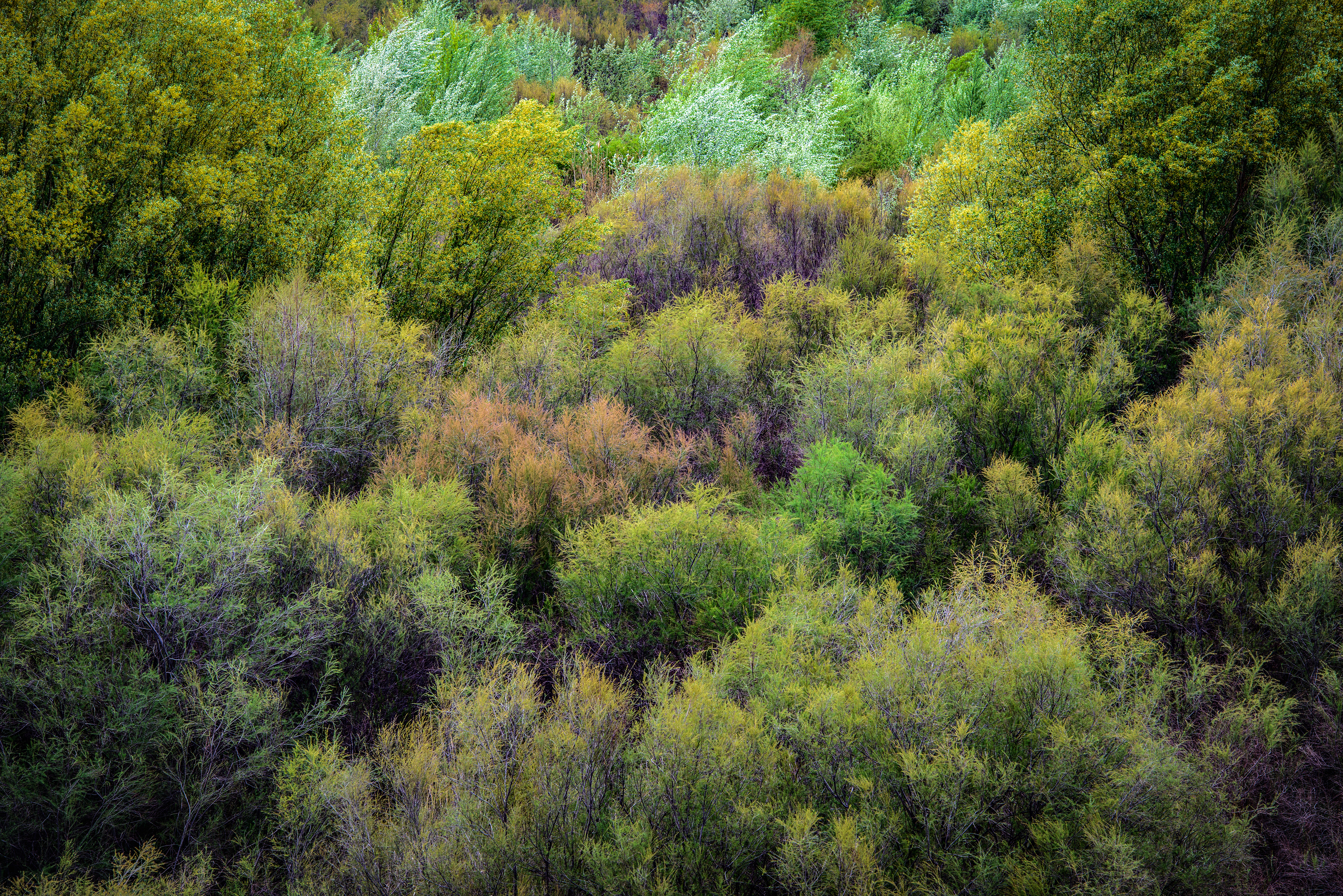 Sierra de Grazalema - Cádiz