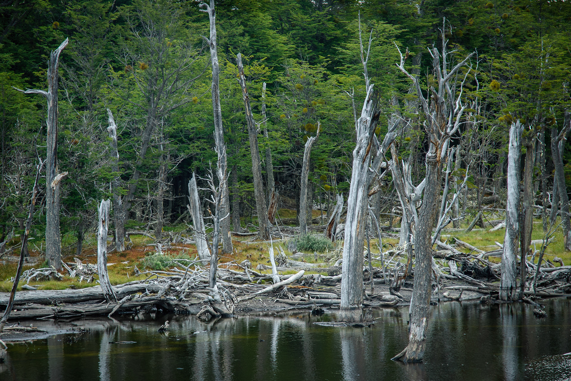 Patagonia - Argentina