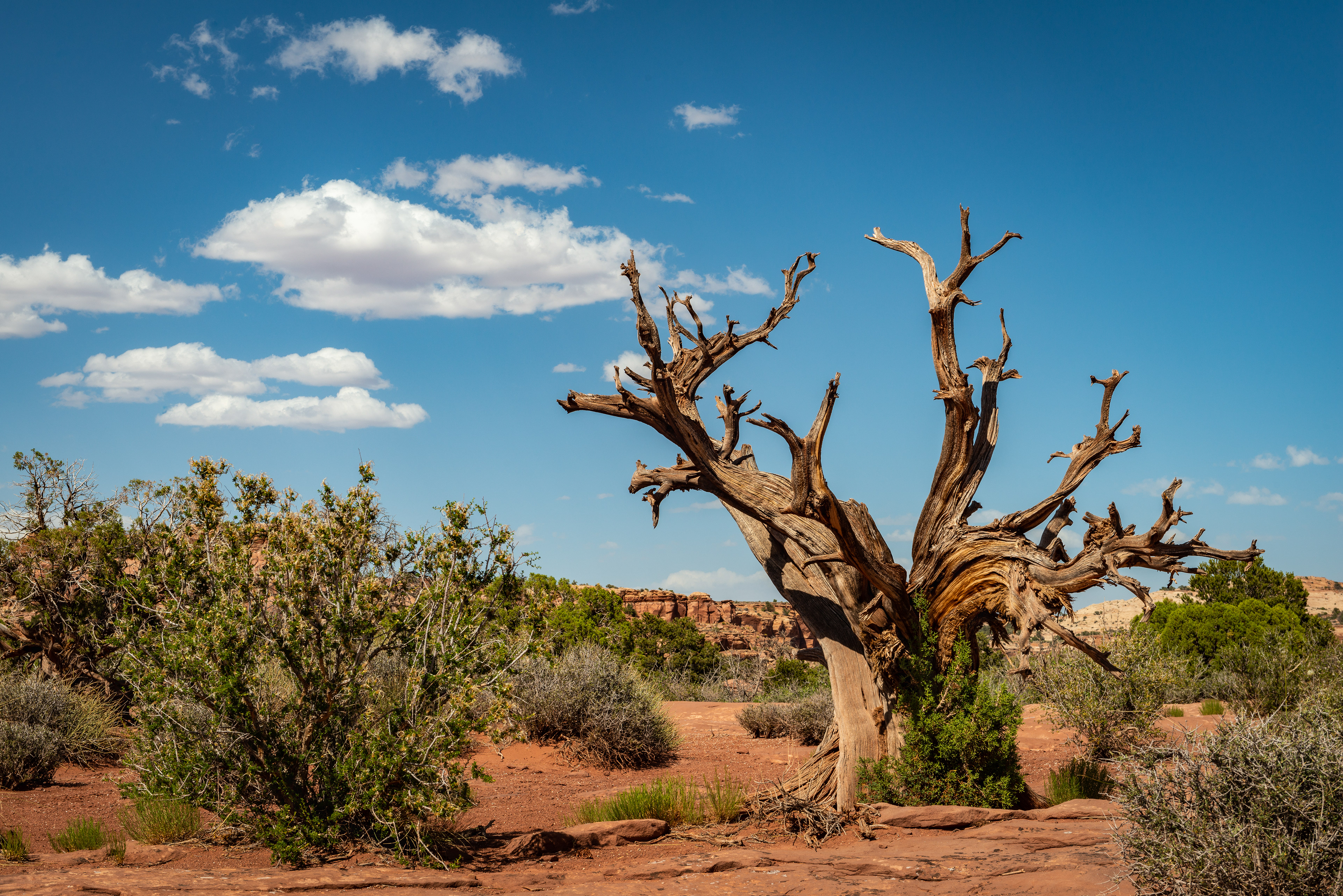 Canyonlands - Utah