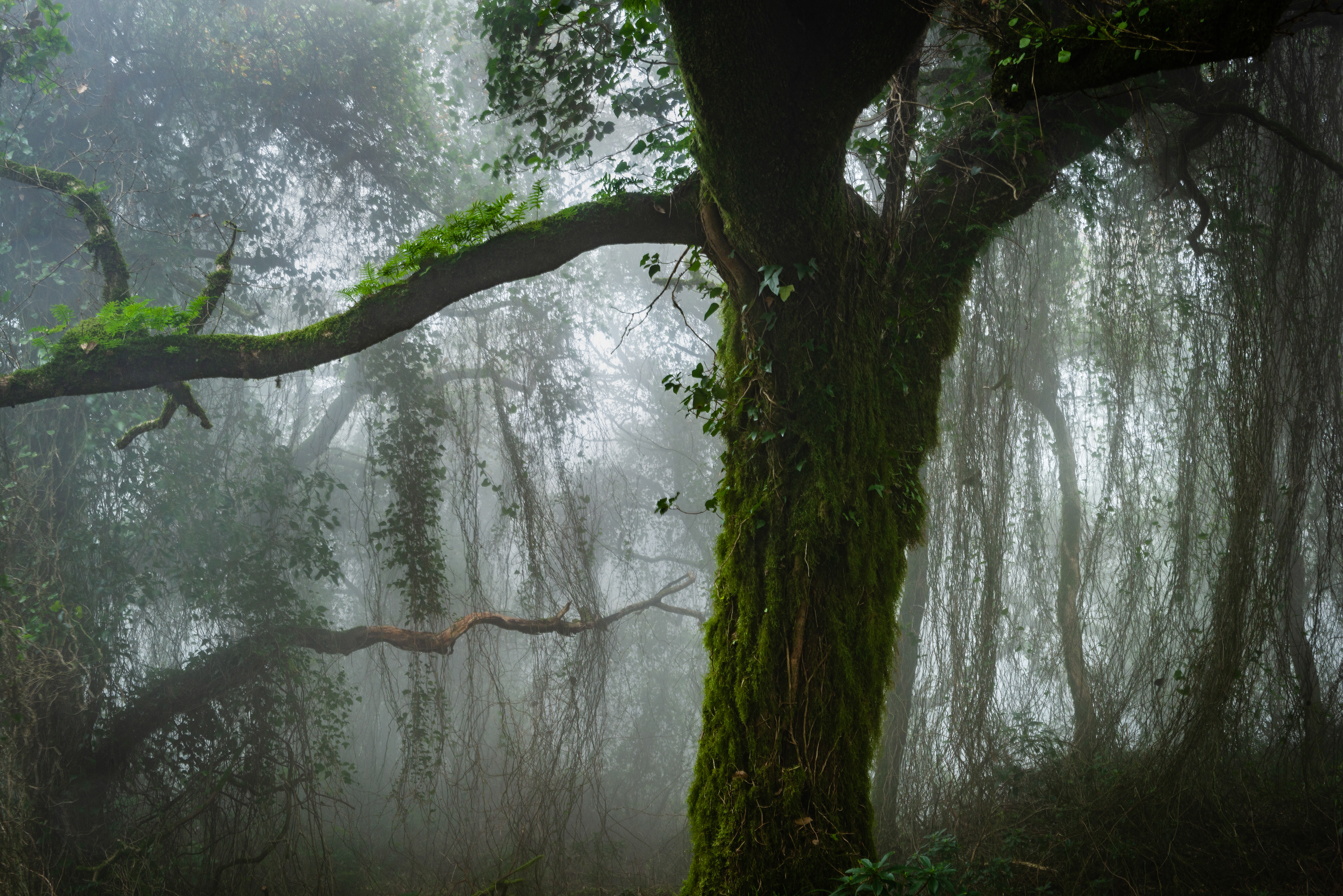 Sierra de Grazalema - Cádiz