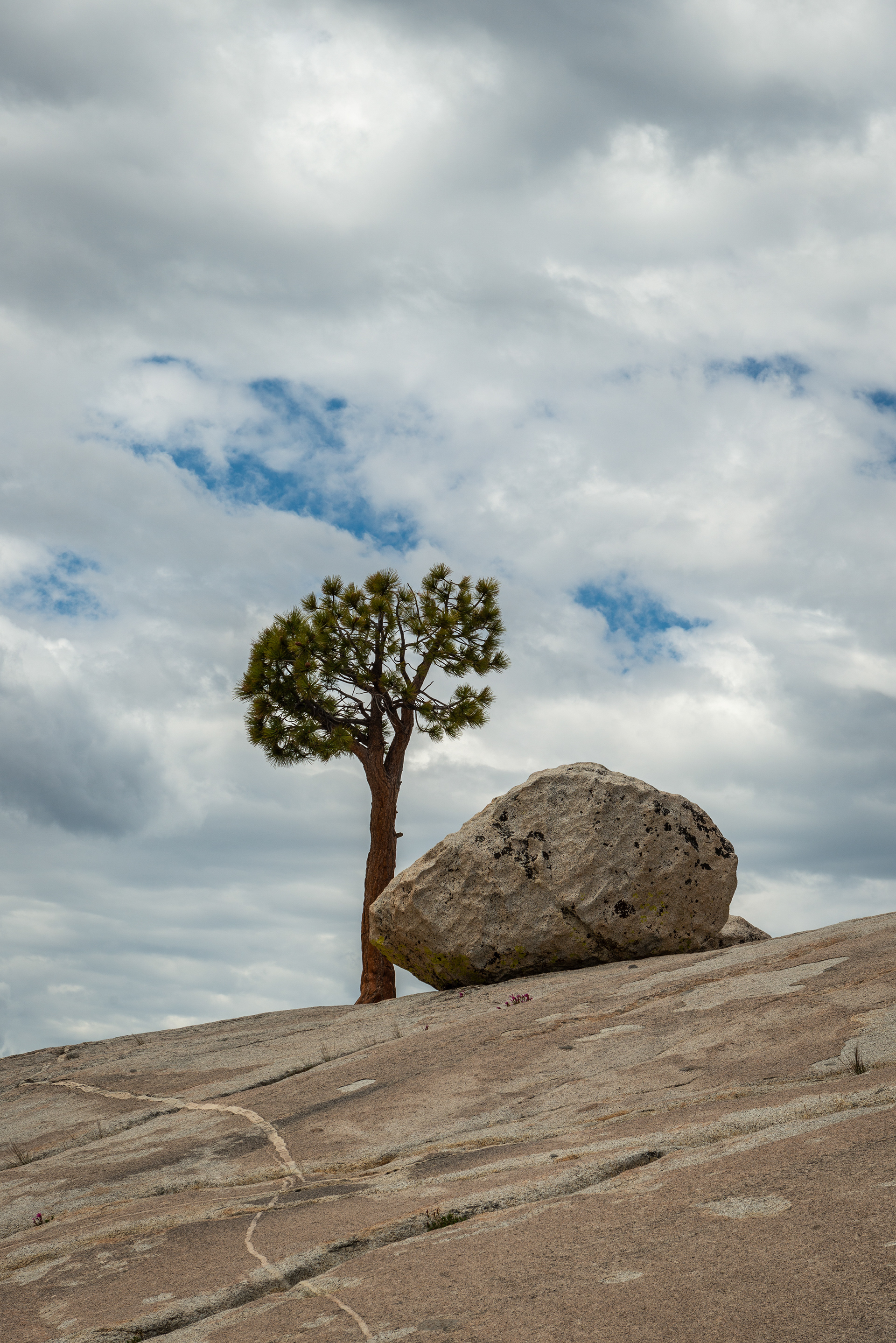 Yosemite NP - California