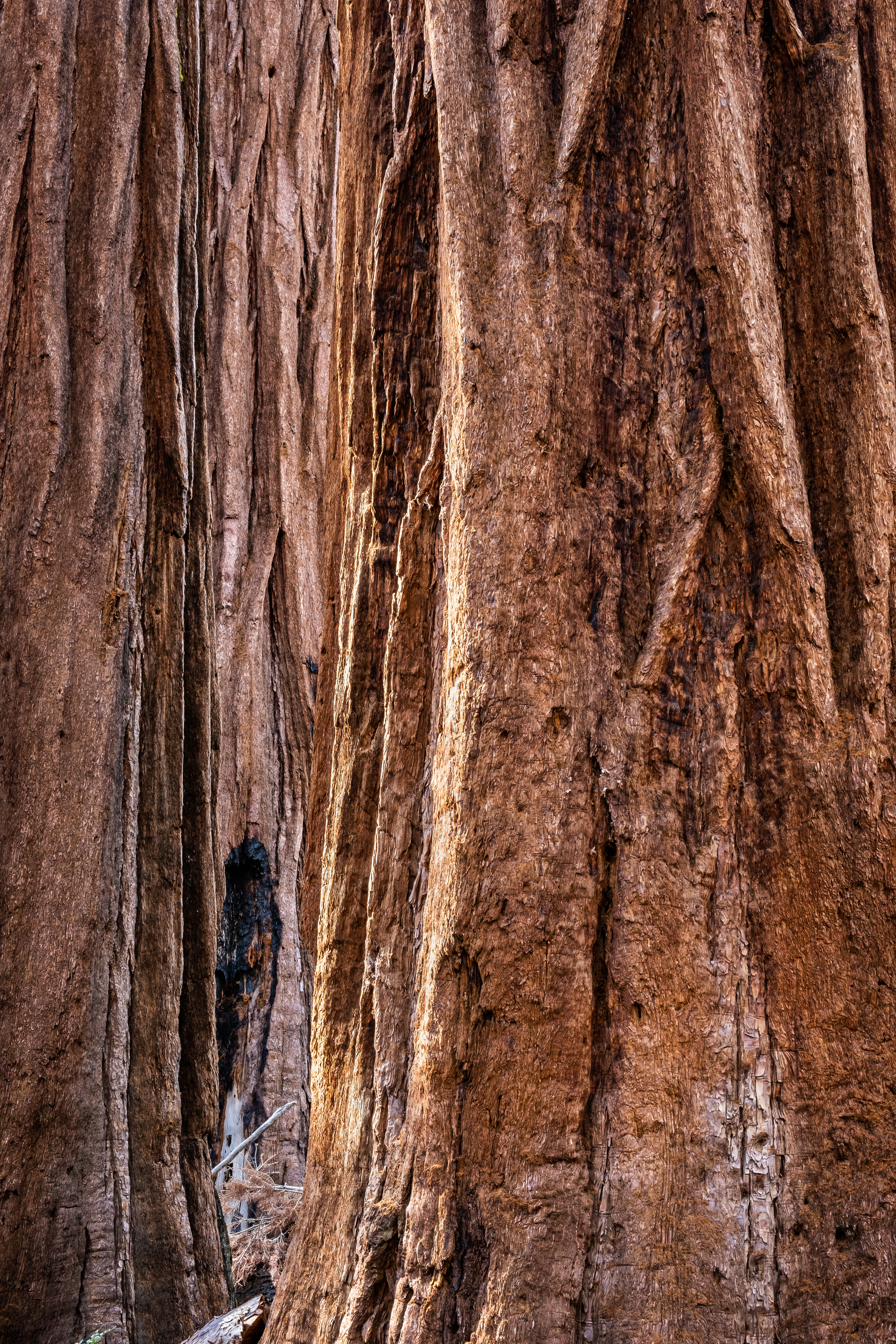 Yosemite NP - California