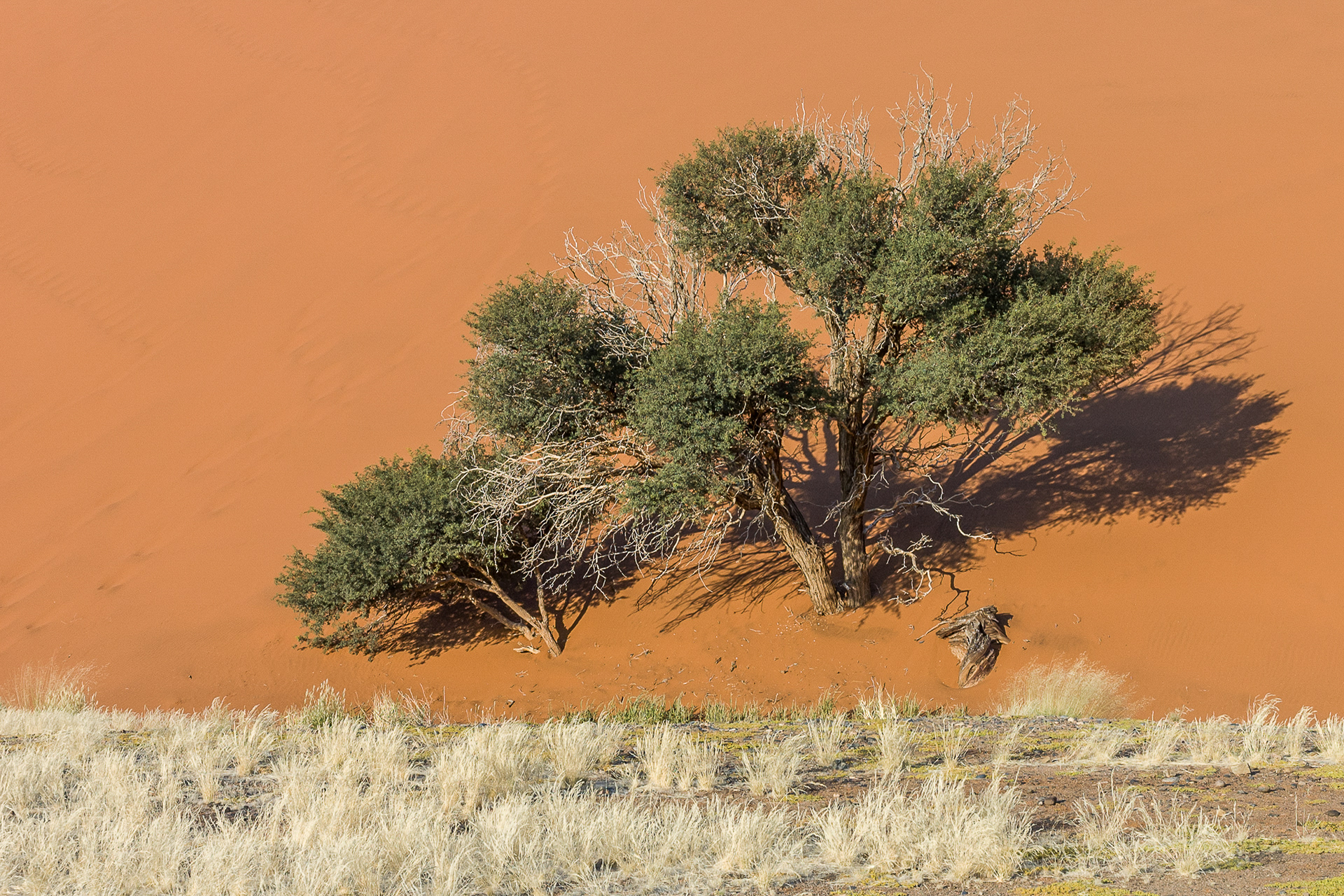 Namibia