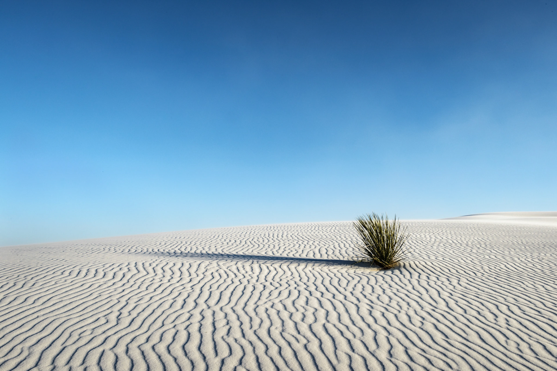 White Sands NP - NM, USA