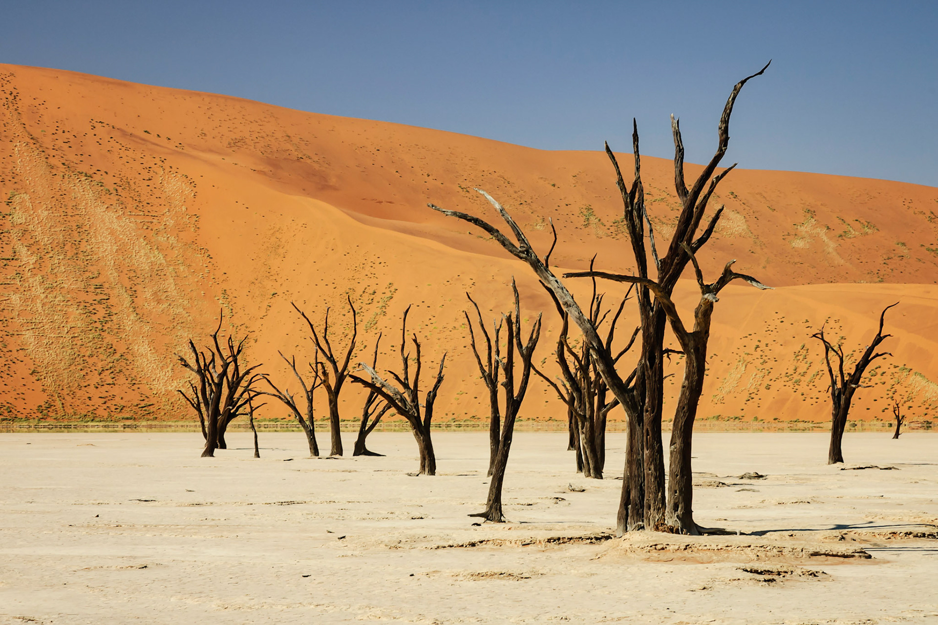 Deadvlei - Namibia
