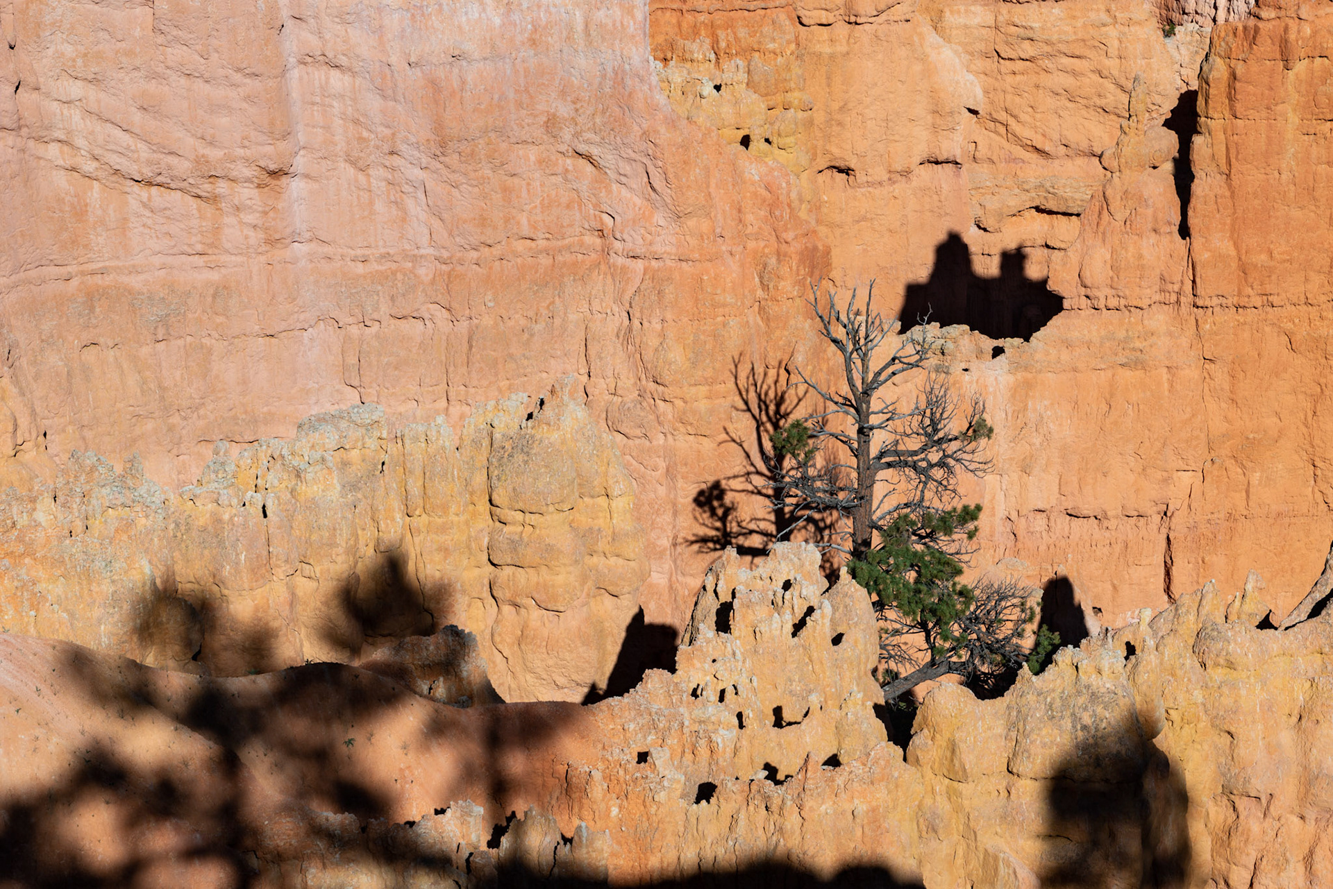 Bryce Canyon NP - UT