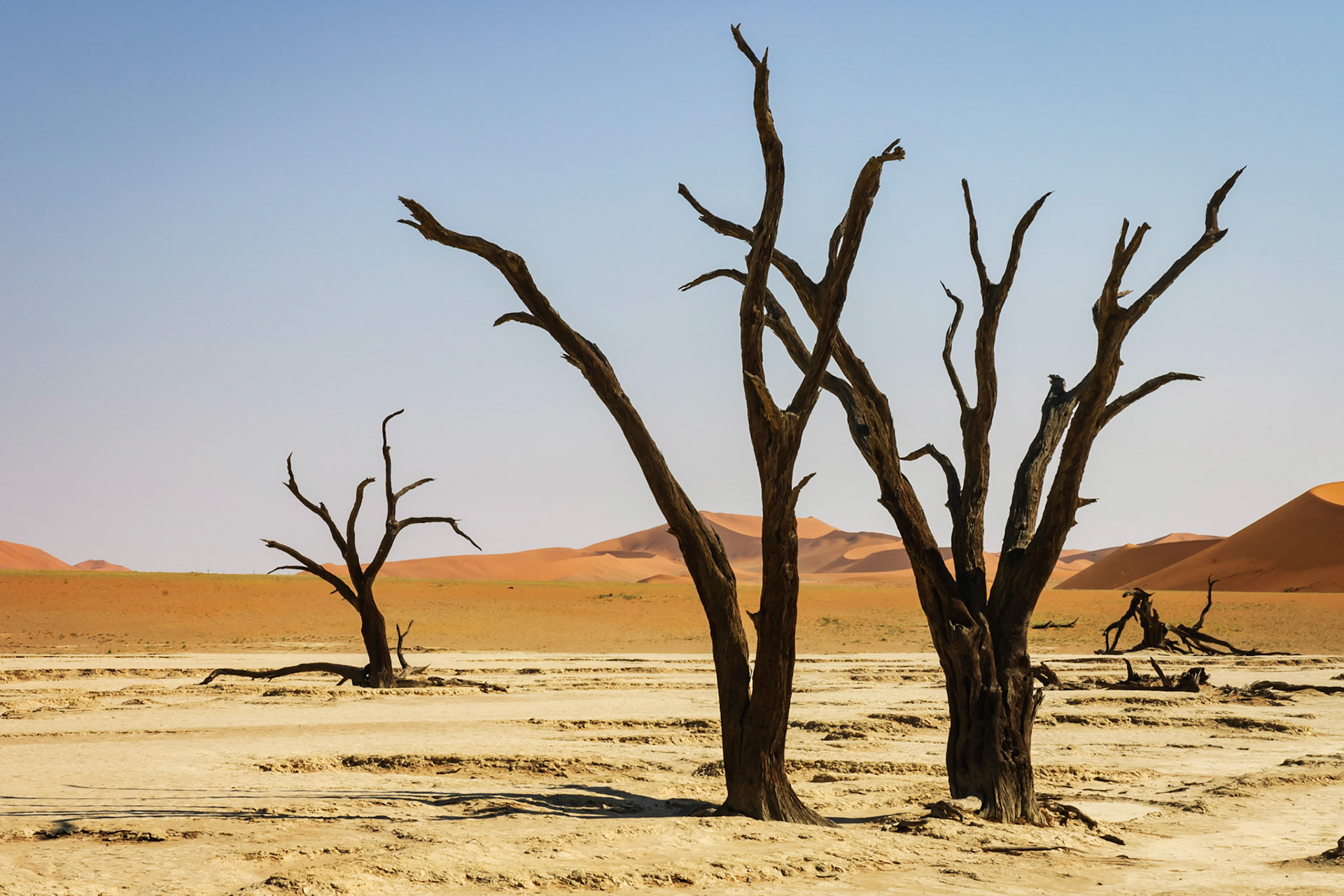 Deadvlei - Namibia