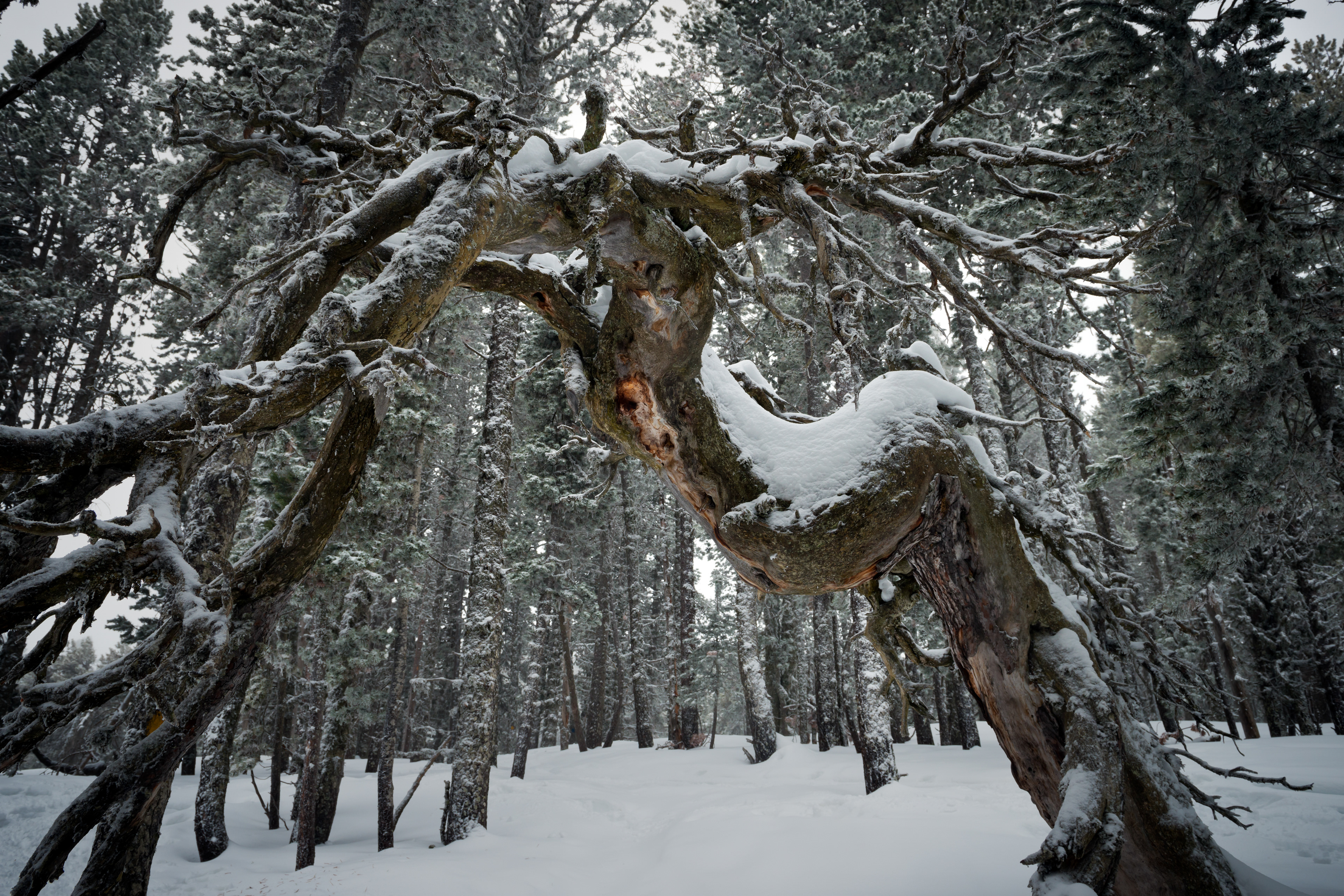 Pyrenees - Catalonia
