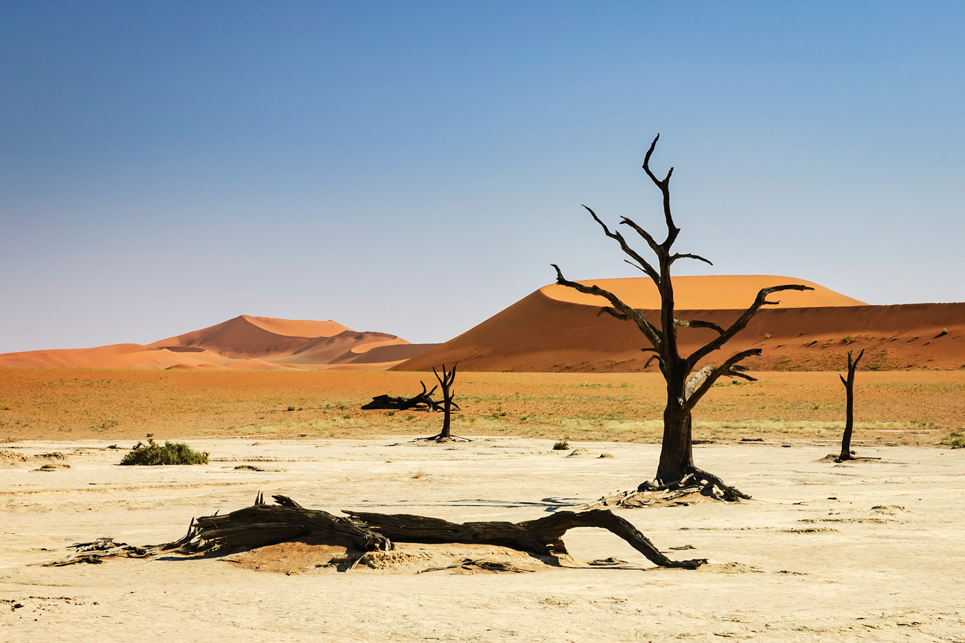 Deadvlei - Namibia