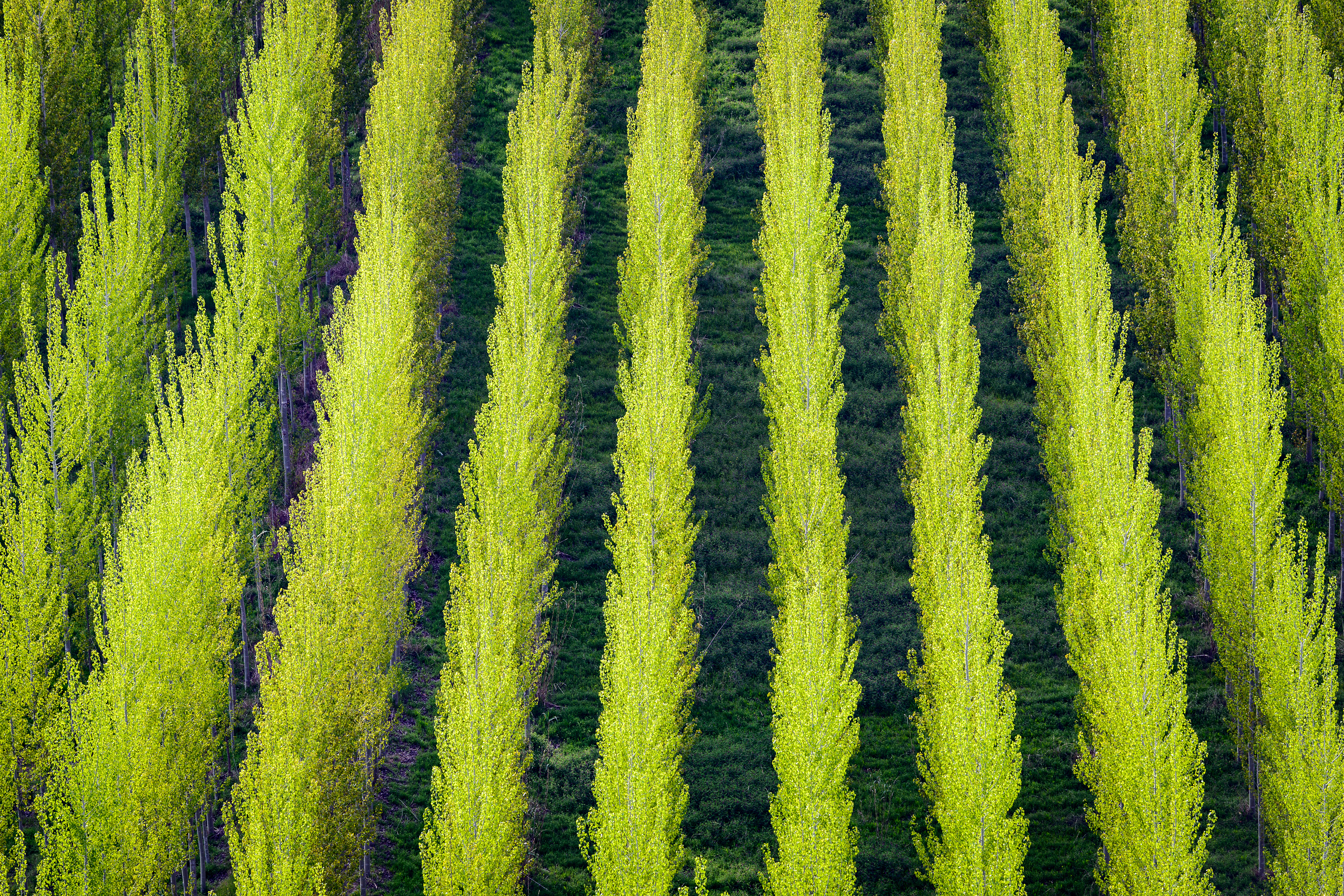 Sierra de Grazalema - Cádiz