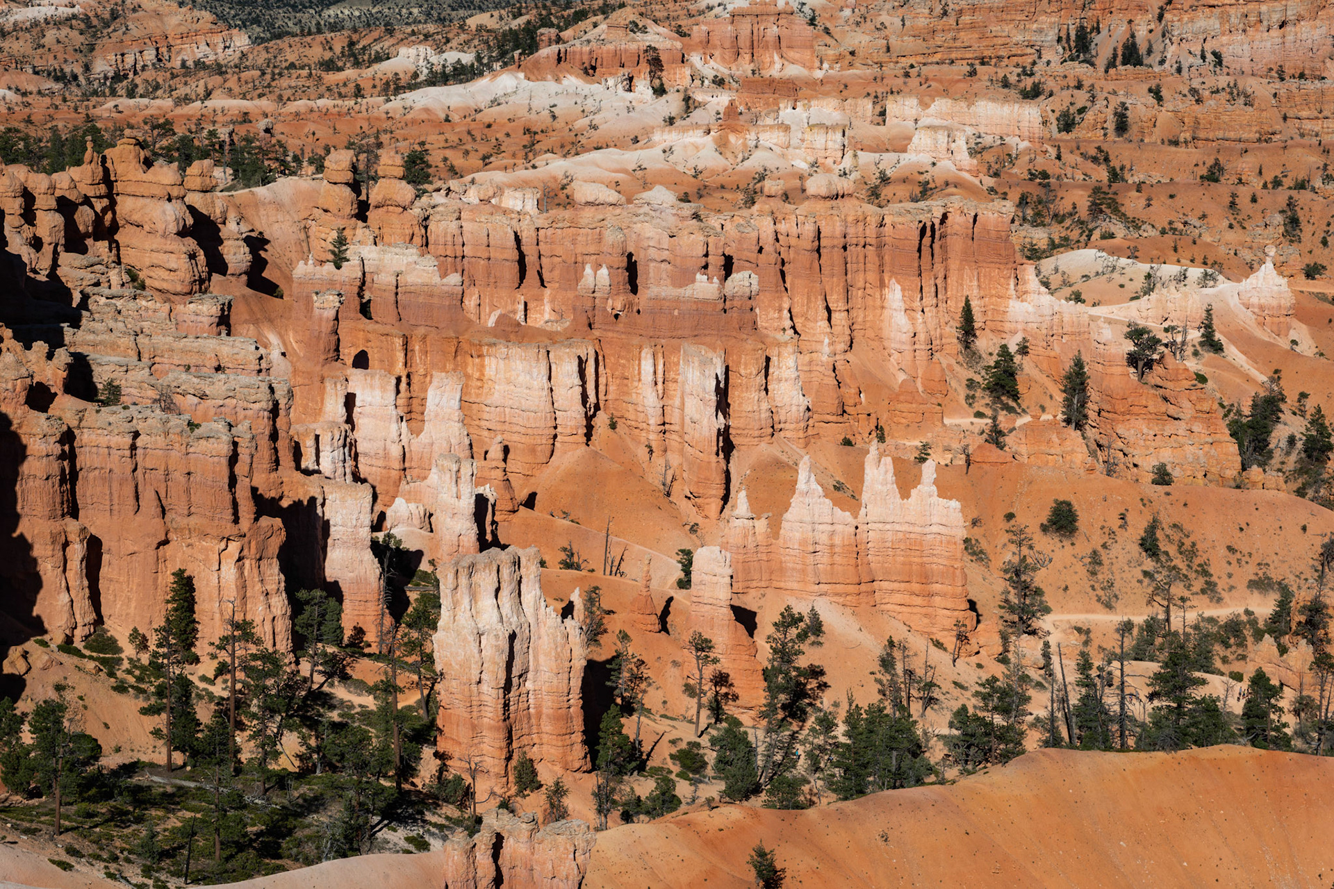 Bryce Canyon NP - UT