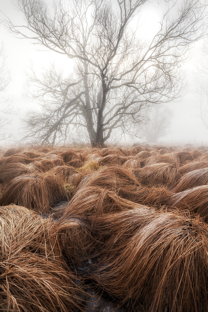 Misty place 2