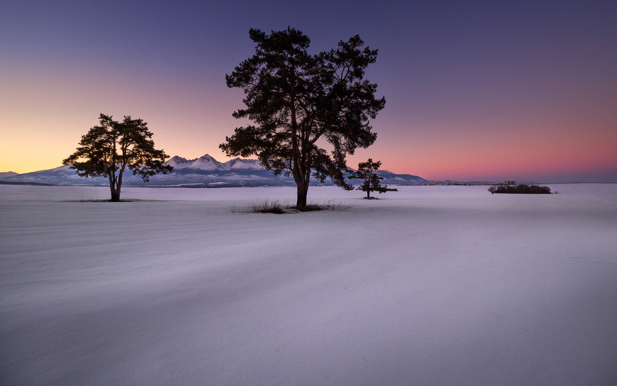 Pod bielou škrupinou