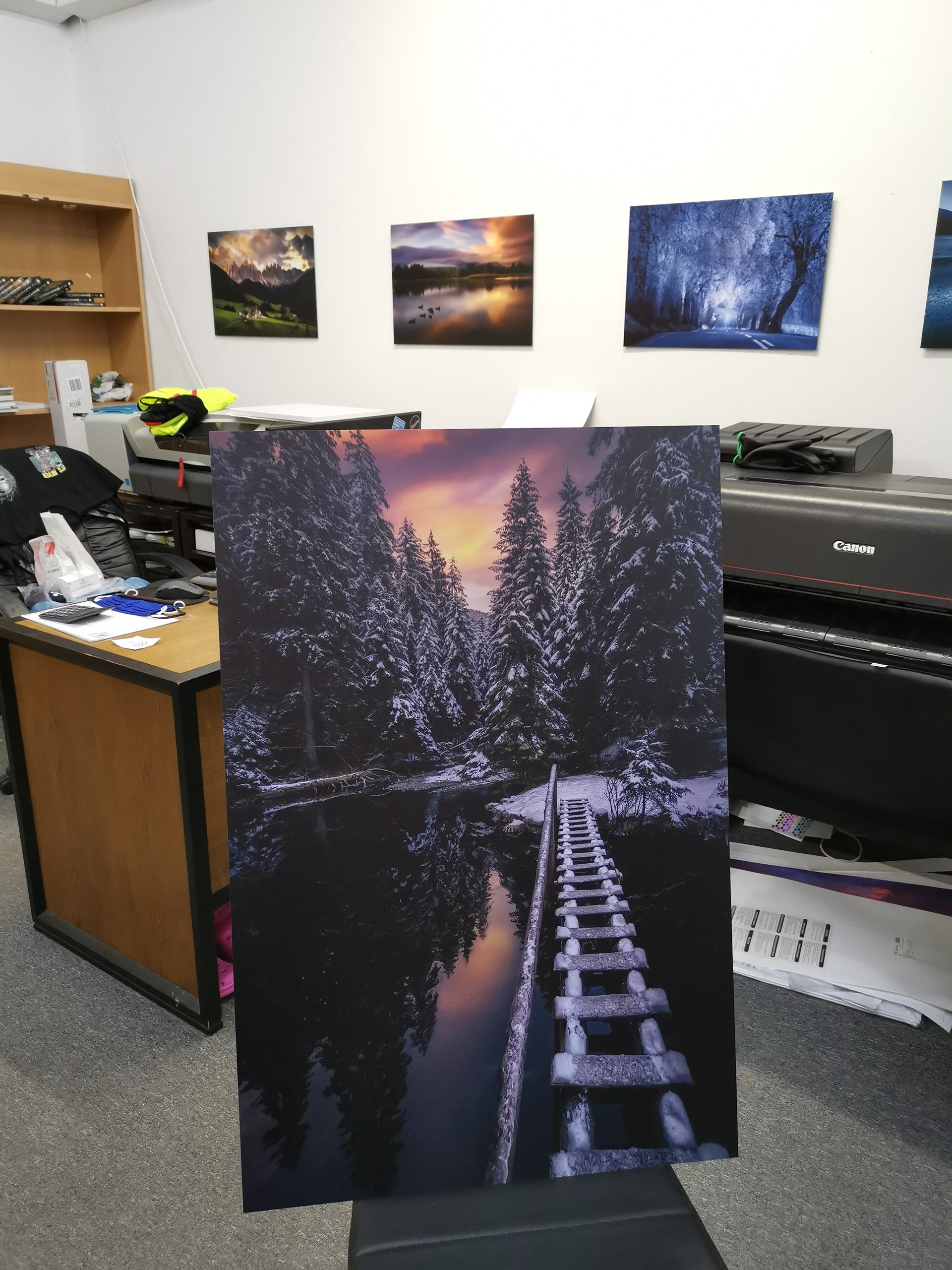 fotograf: Marek Kopnický