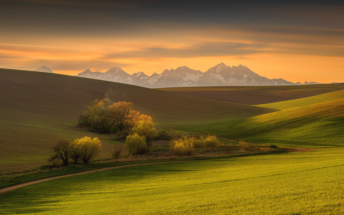 Jarné lúky a polia