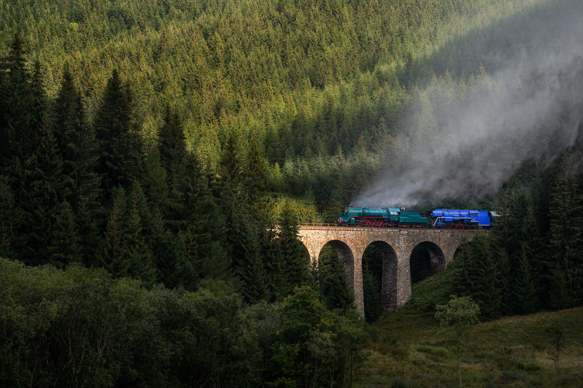 Papagáj a Zelený Anton