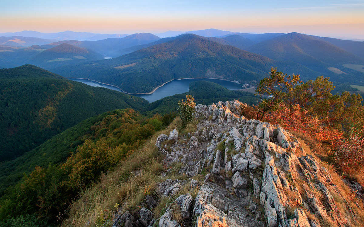 Dobré ráno ružín