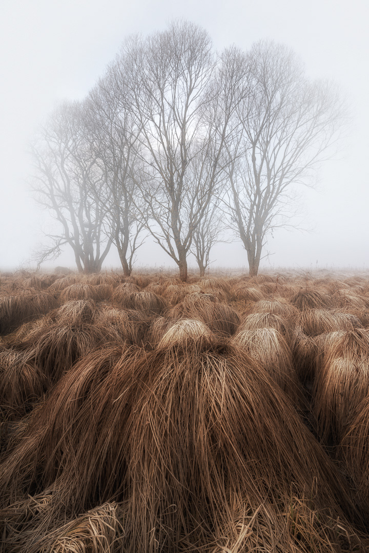 Misty place 1