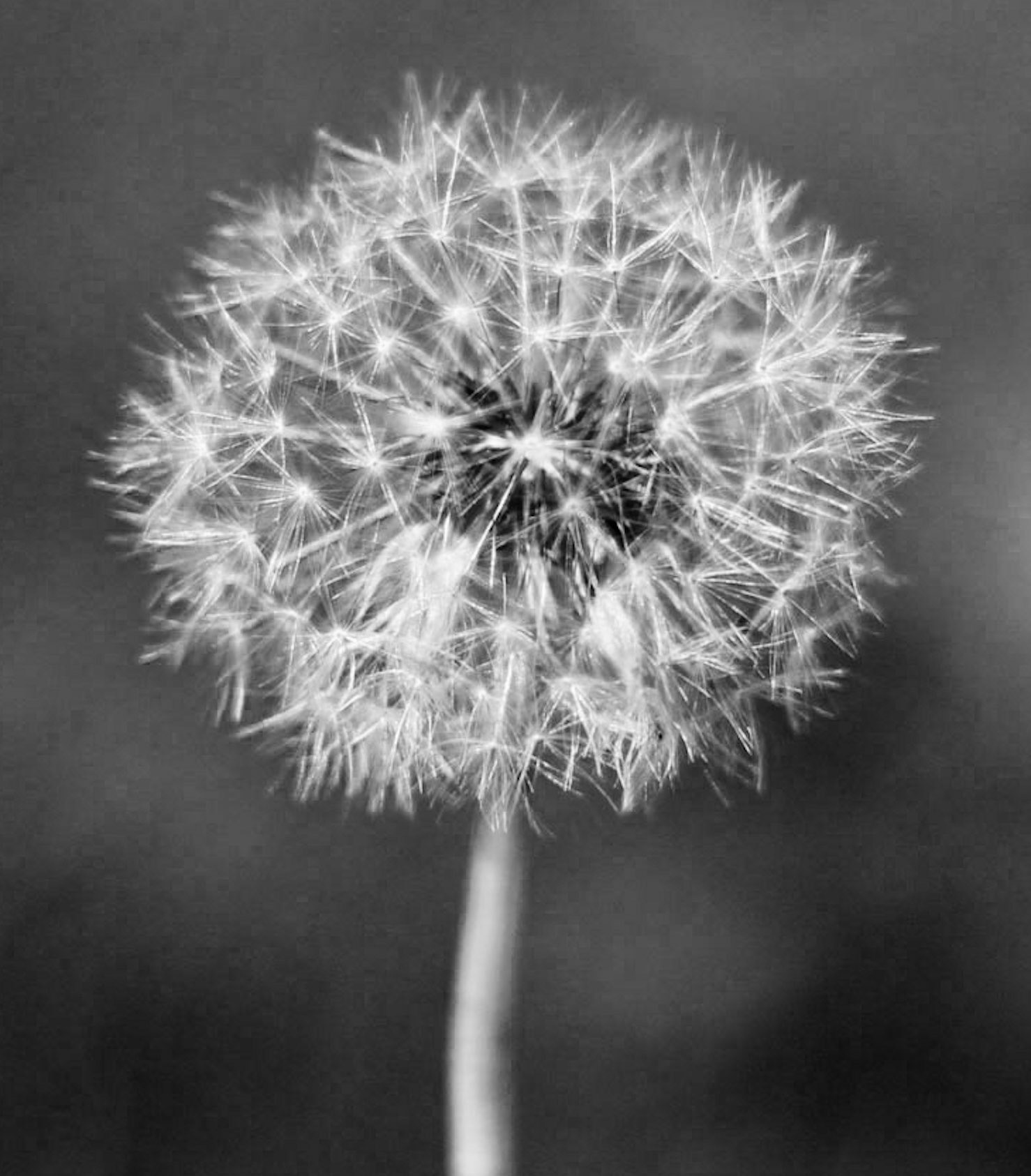 World is always round