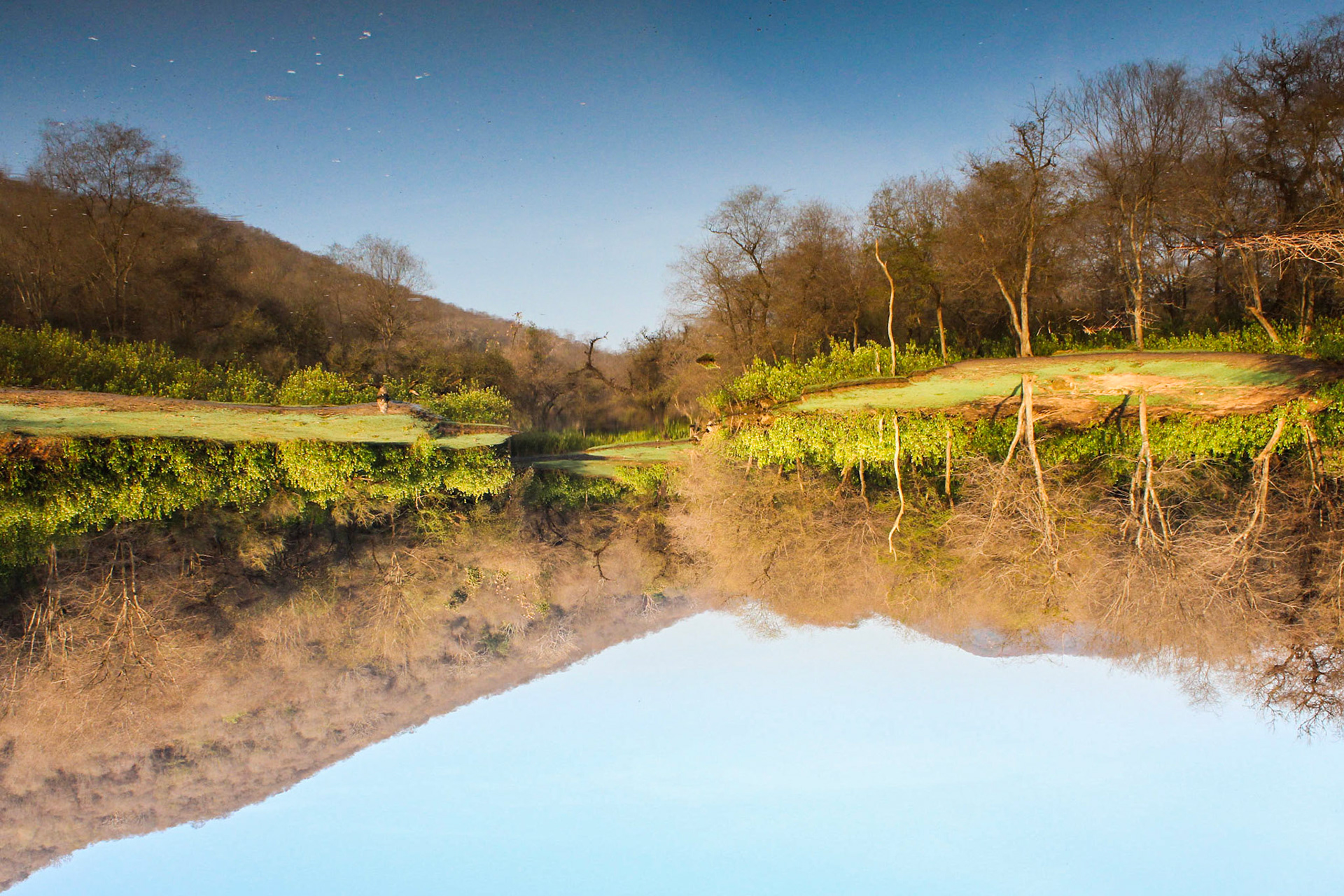 What is truth, and what is a lie?