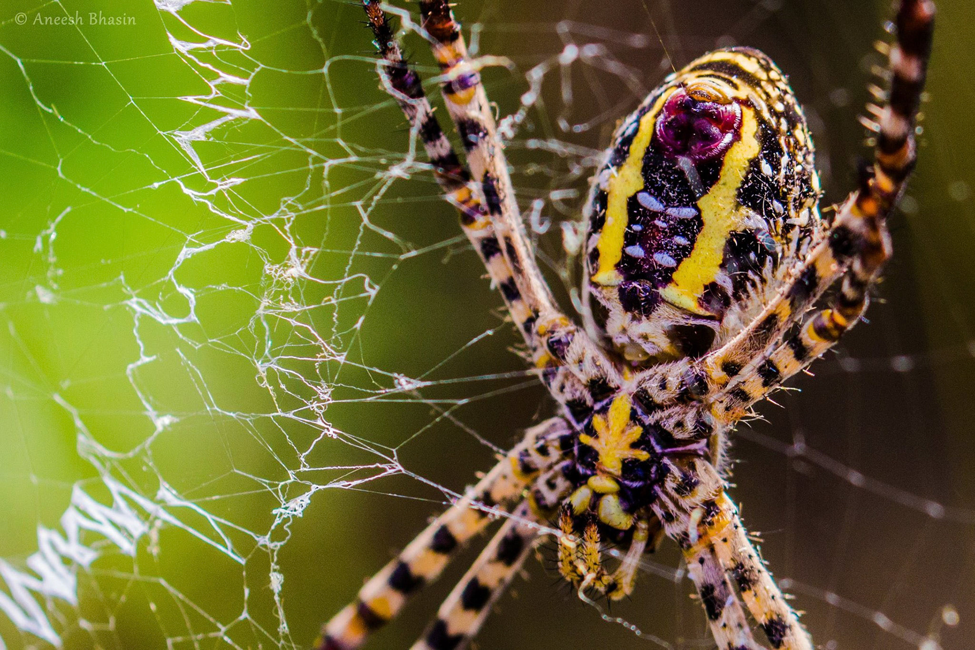 Scary, or beautiful?