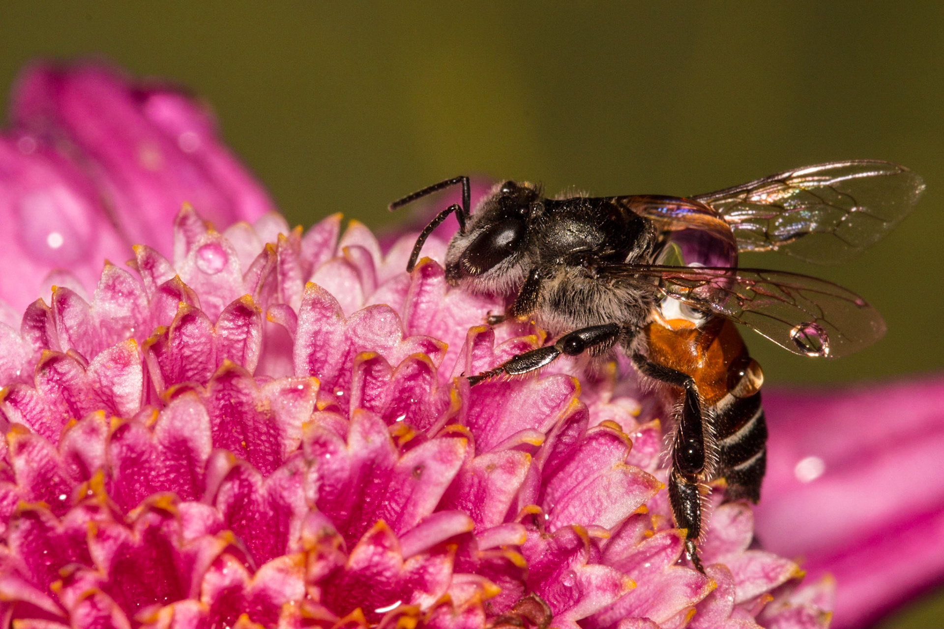 Carrying the world  on my back...