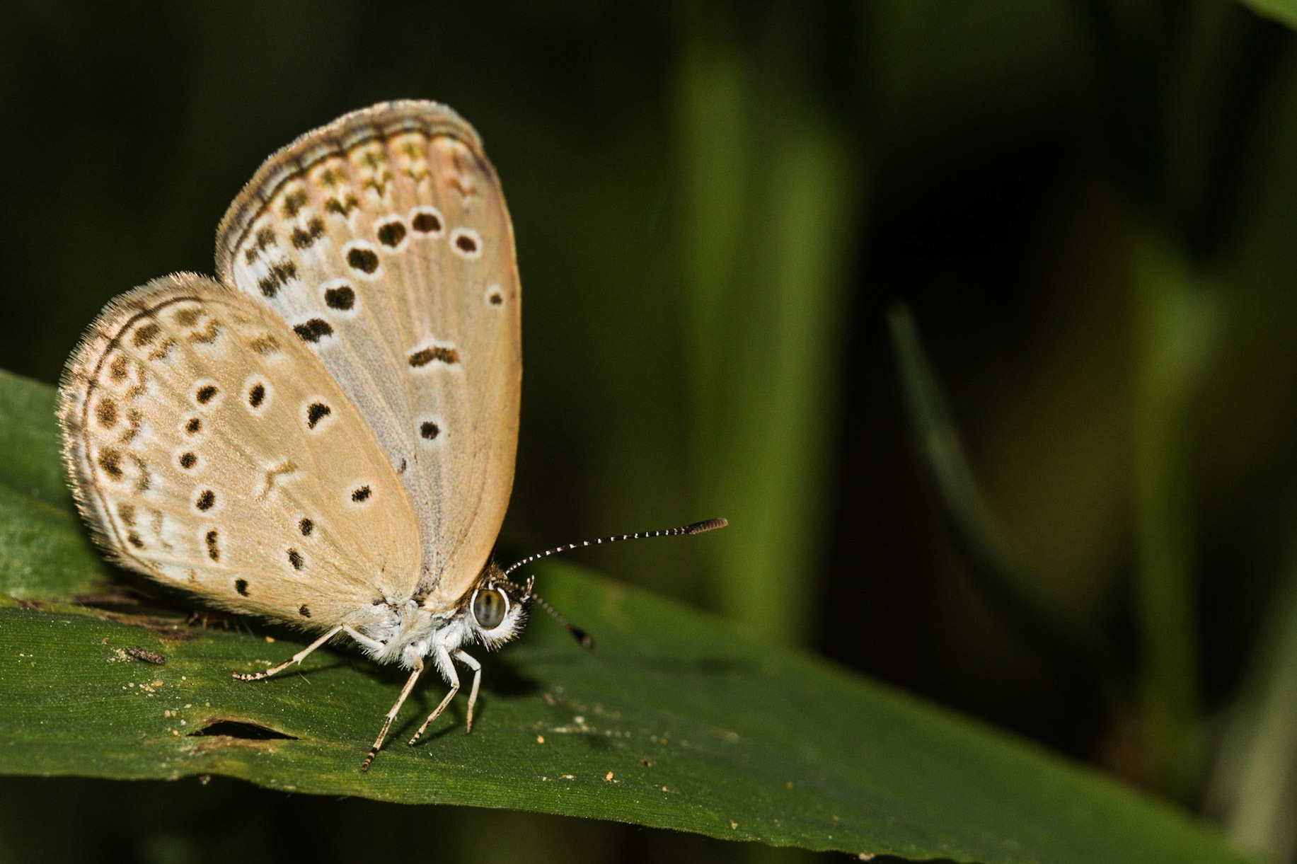 Rest for a while.. Then fly away!