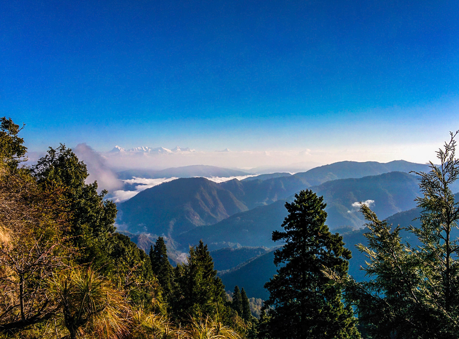 The majestic Himalayas...
