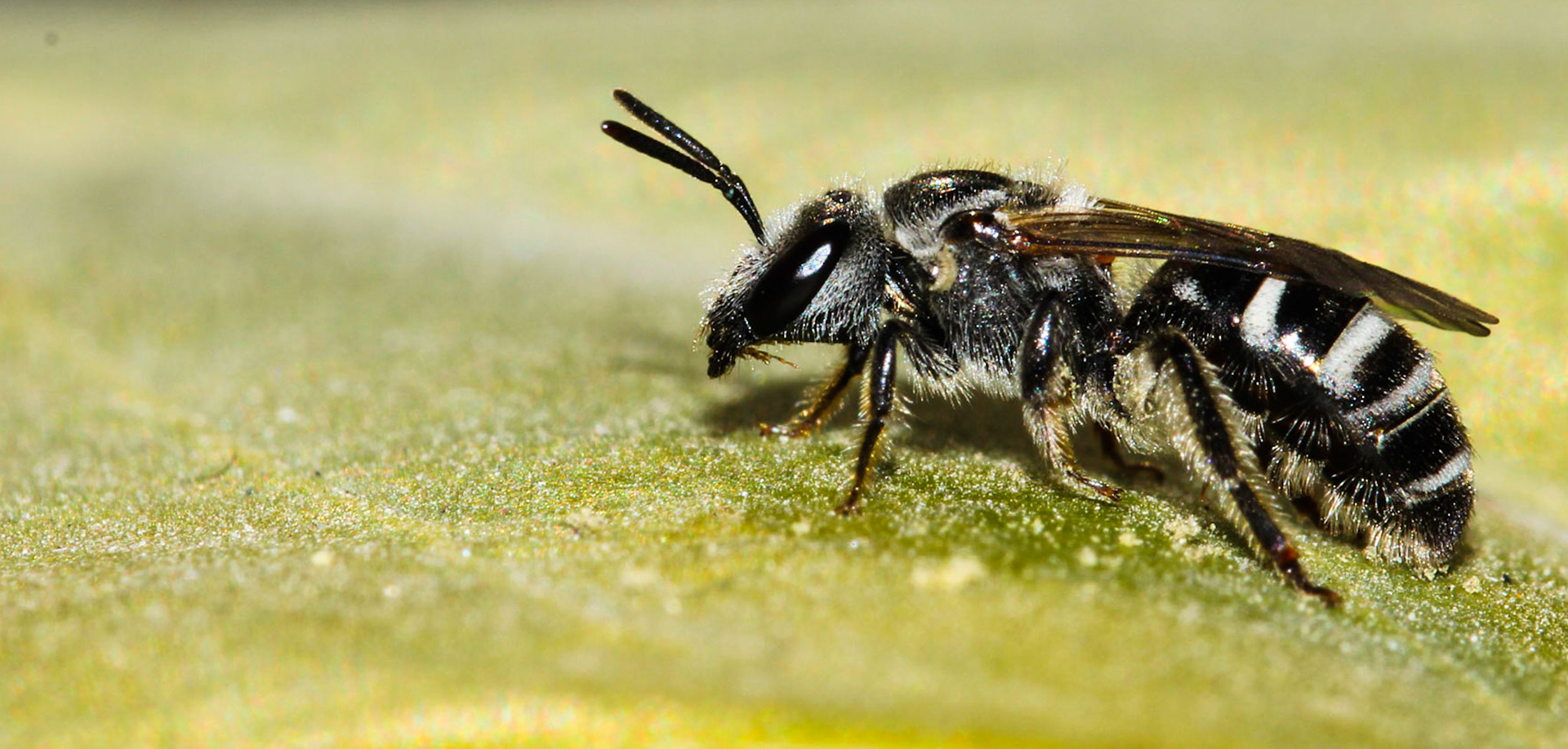 Soaking in the sun...