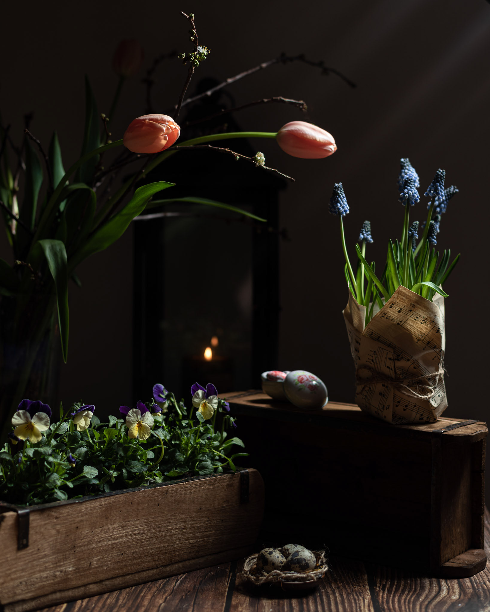 "Vårens första strålar" studioljus