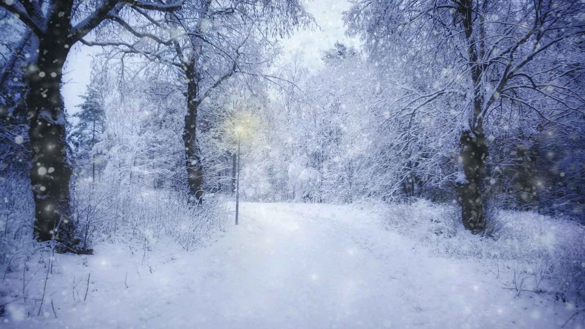 Narnia